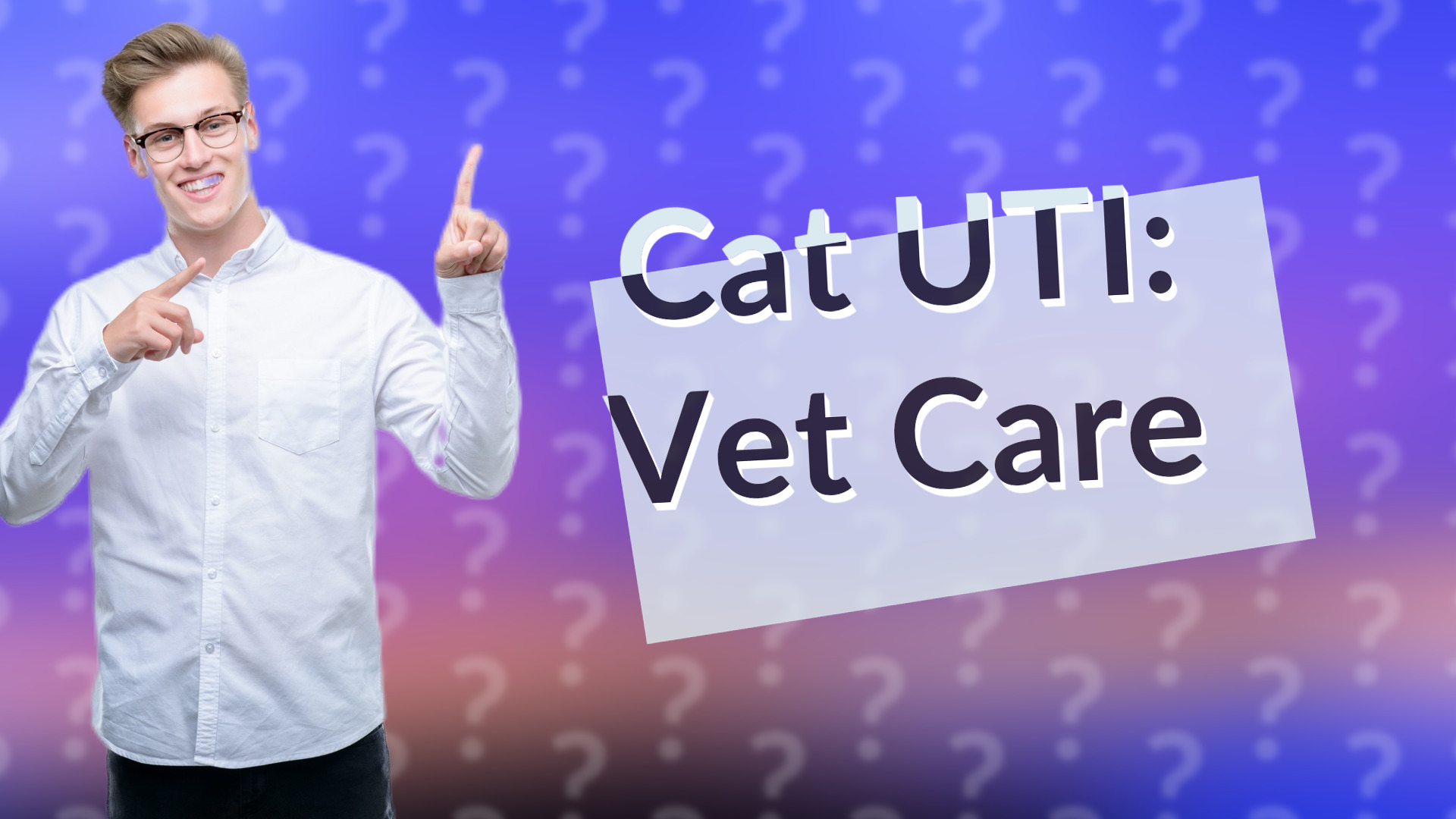 Cat UTI: Vet Care