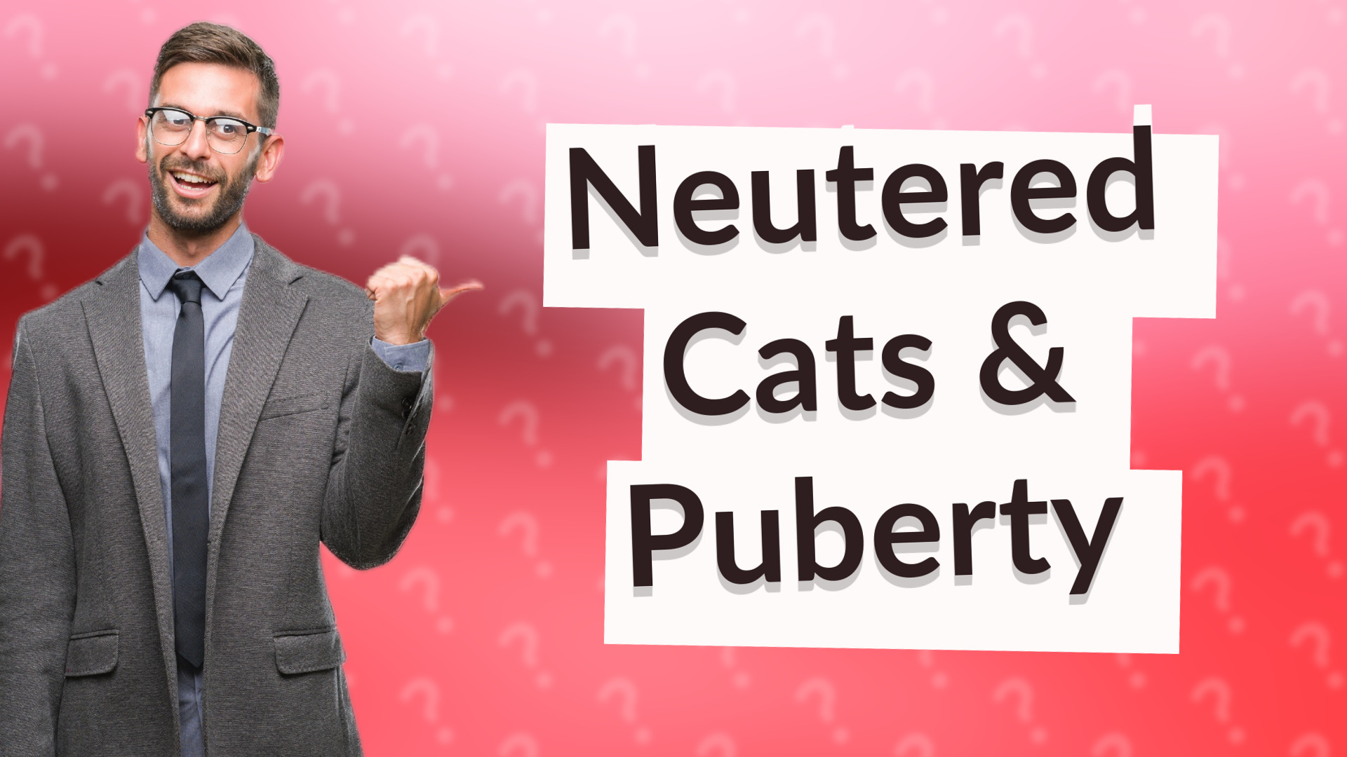 Neutered Cats & Puberty