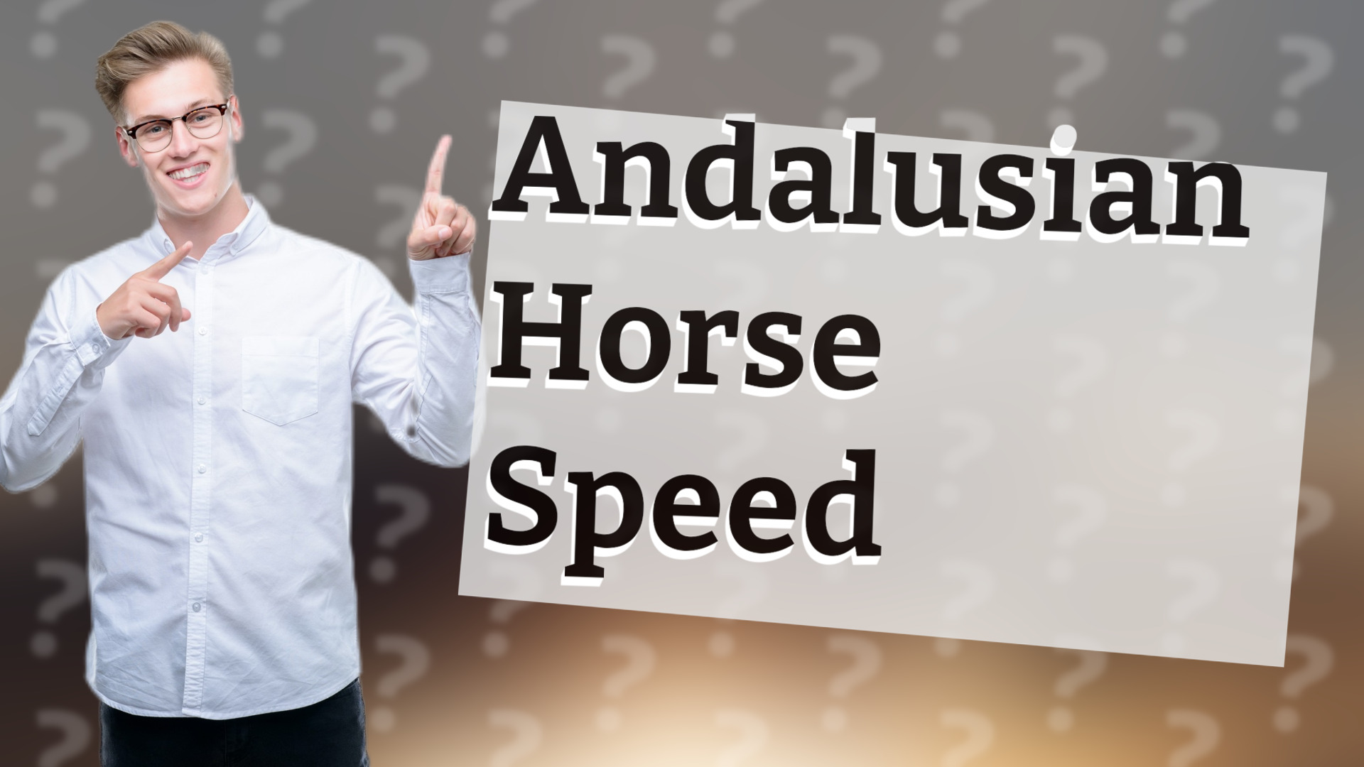 Andalusian Horse Speed