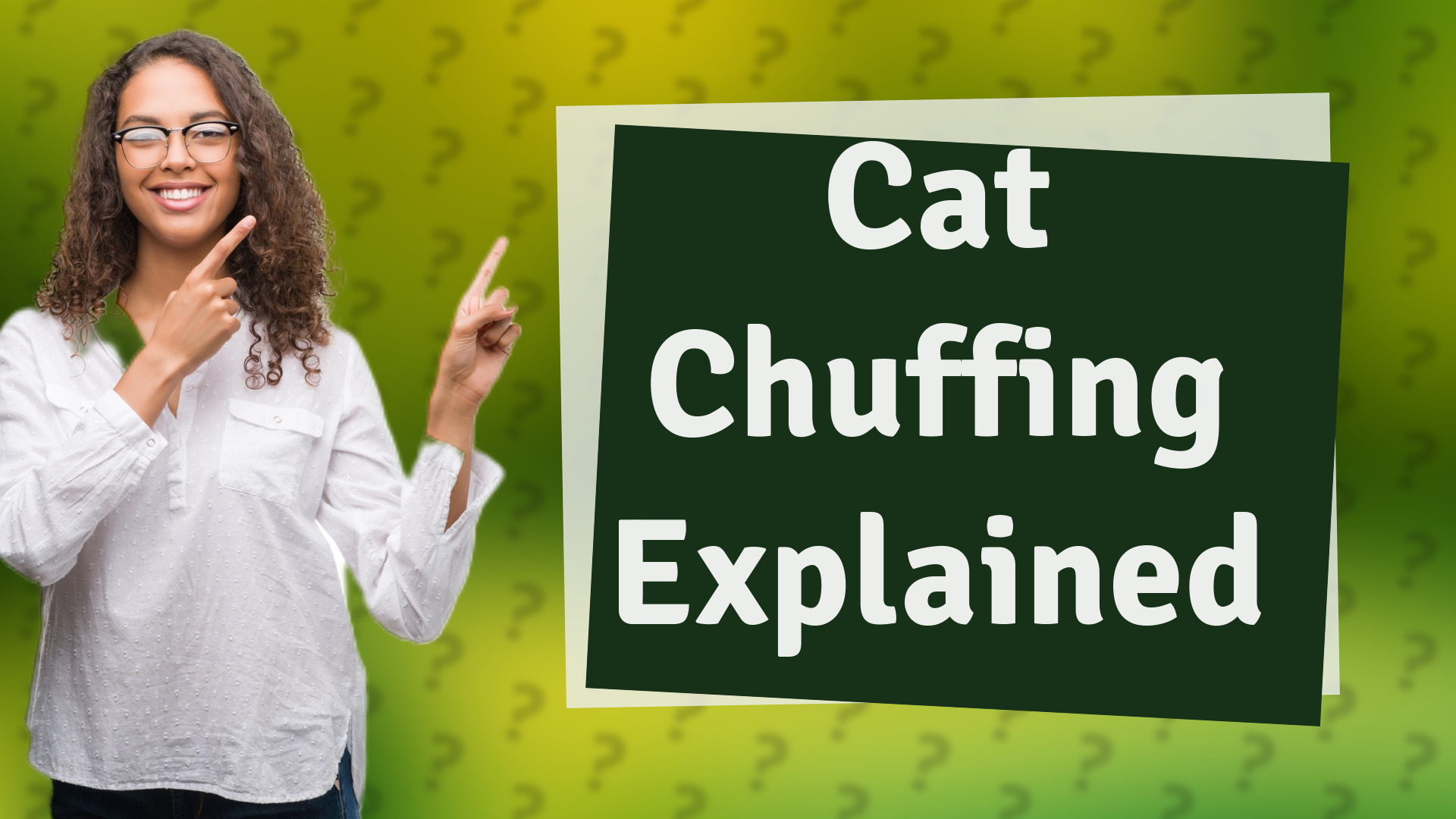 Cat Chuffing Explained