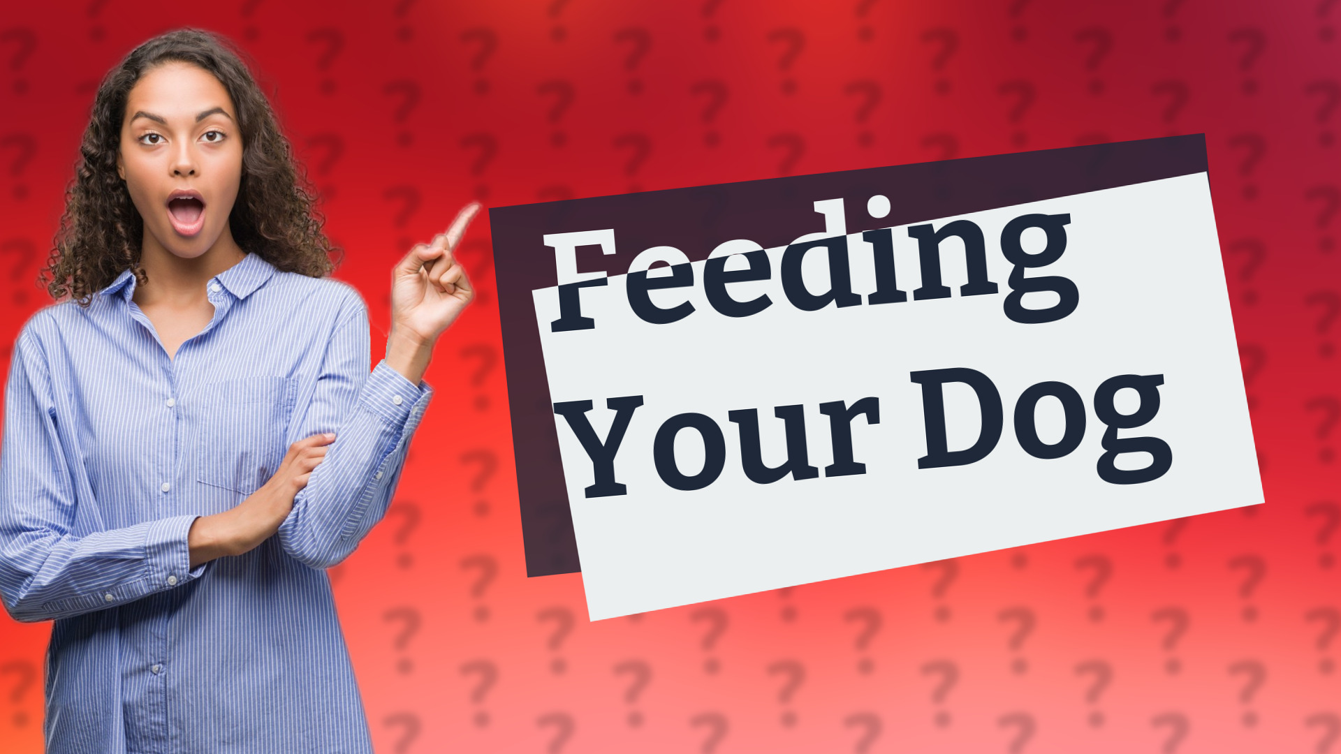 Feeding Your Dog