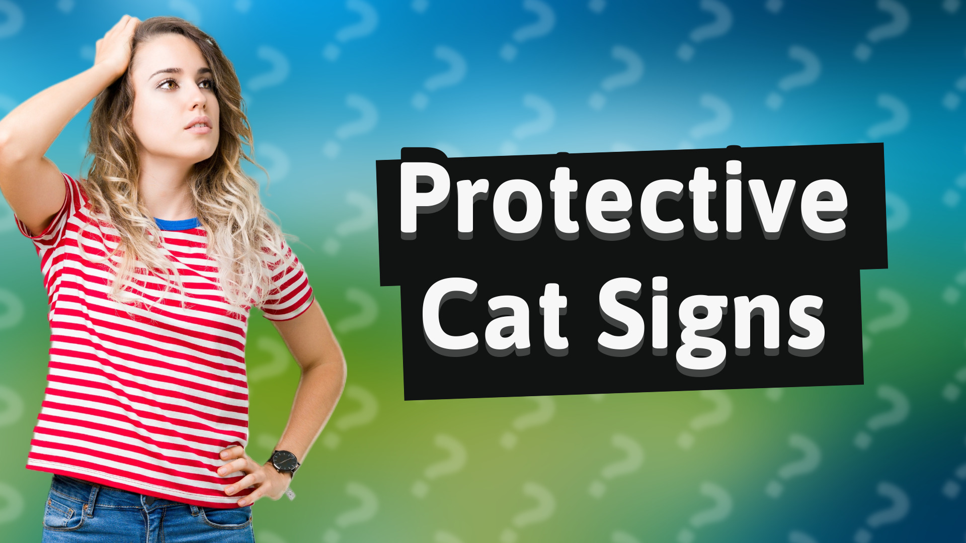 Protective Cat Signs