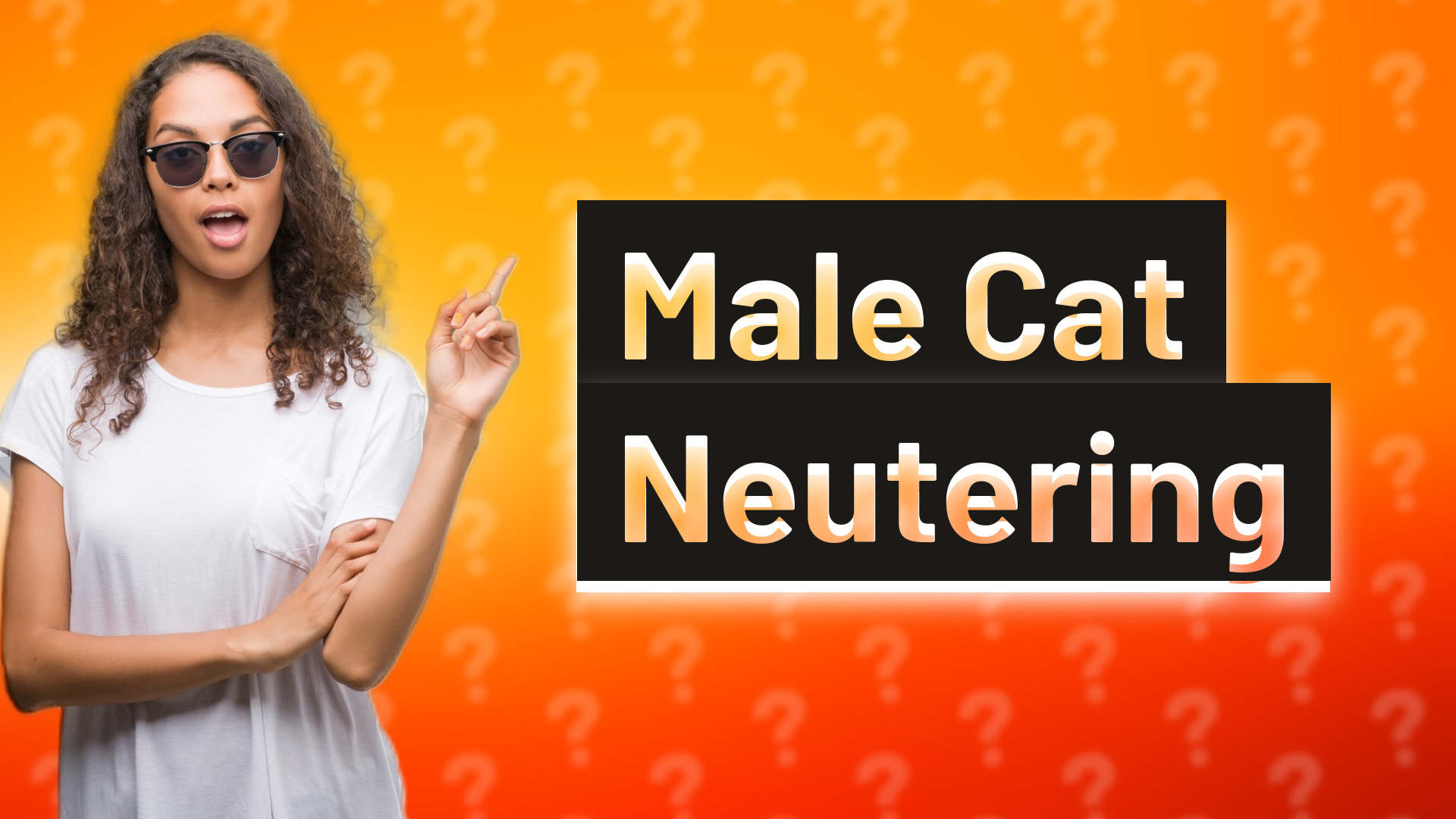 Male Cat Neutering