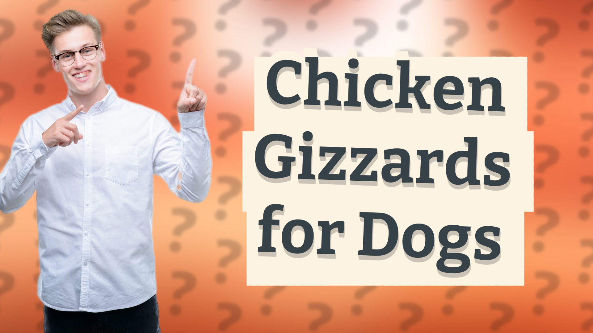 Chicken Gizzards for Dogs