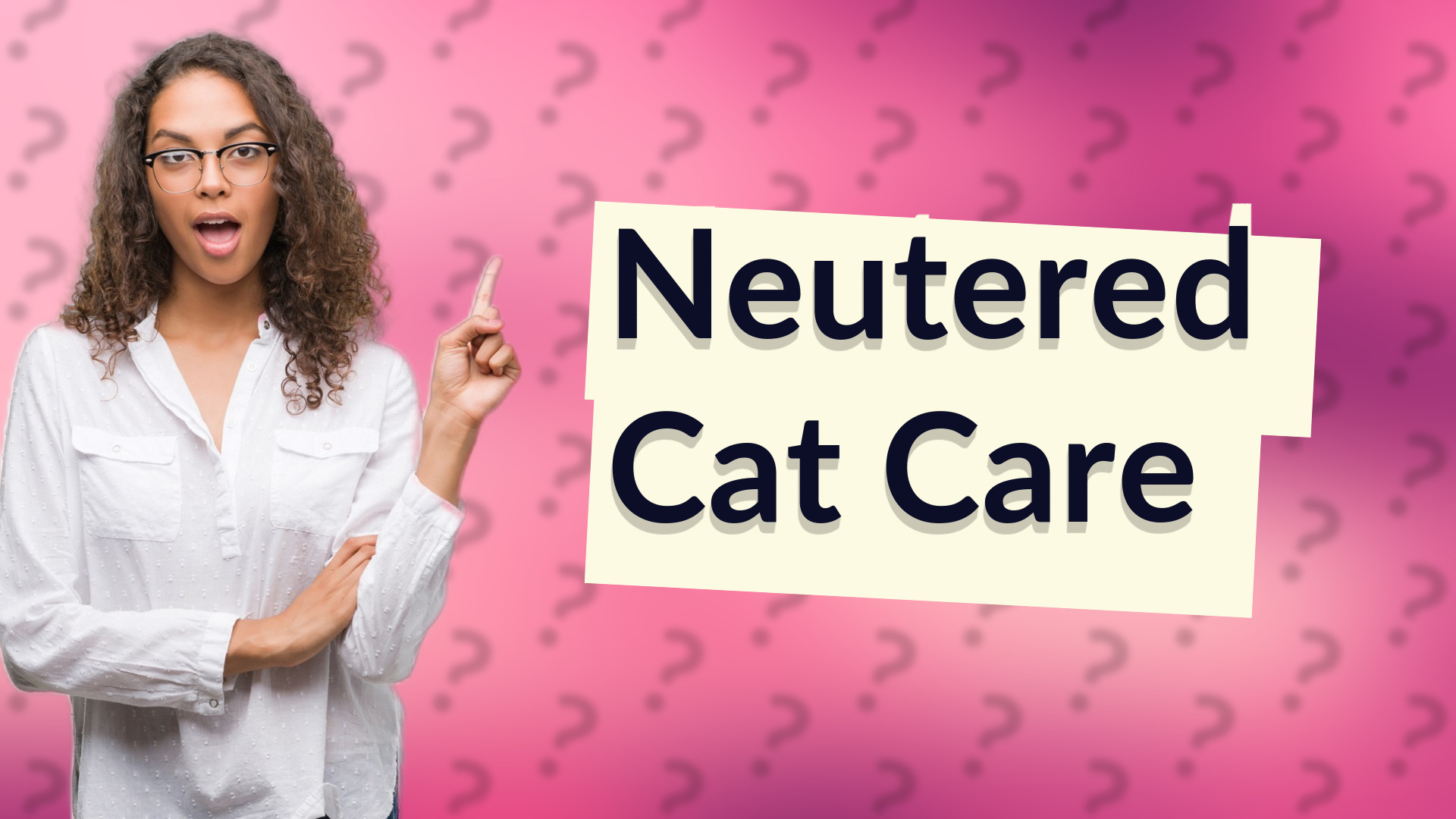 Neutered Cat Care