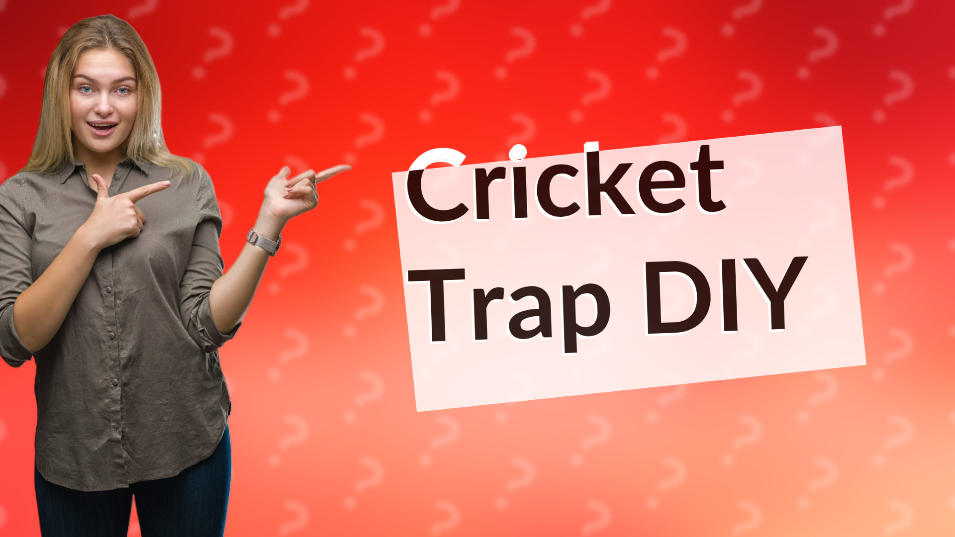 Cricket Trap DIY