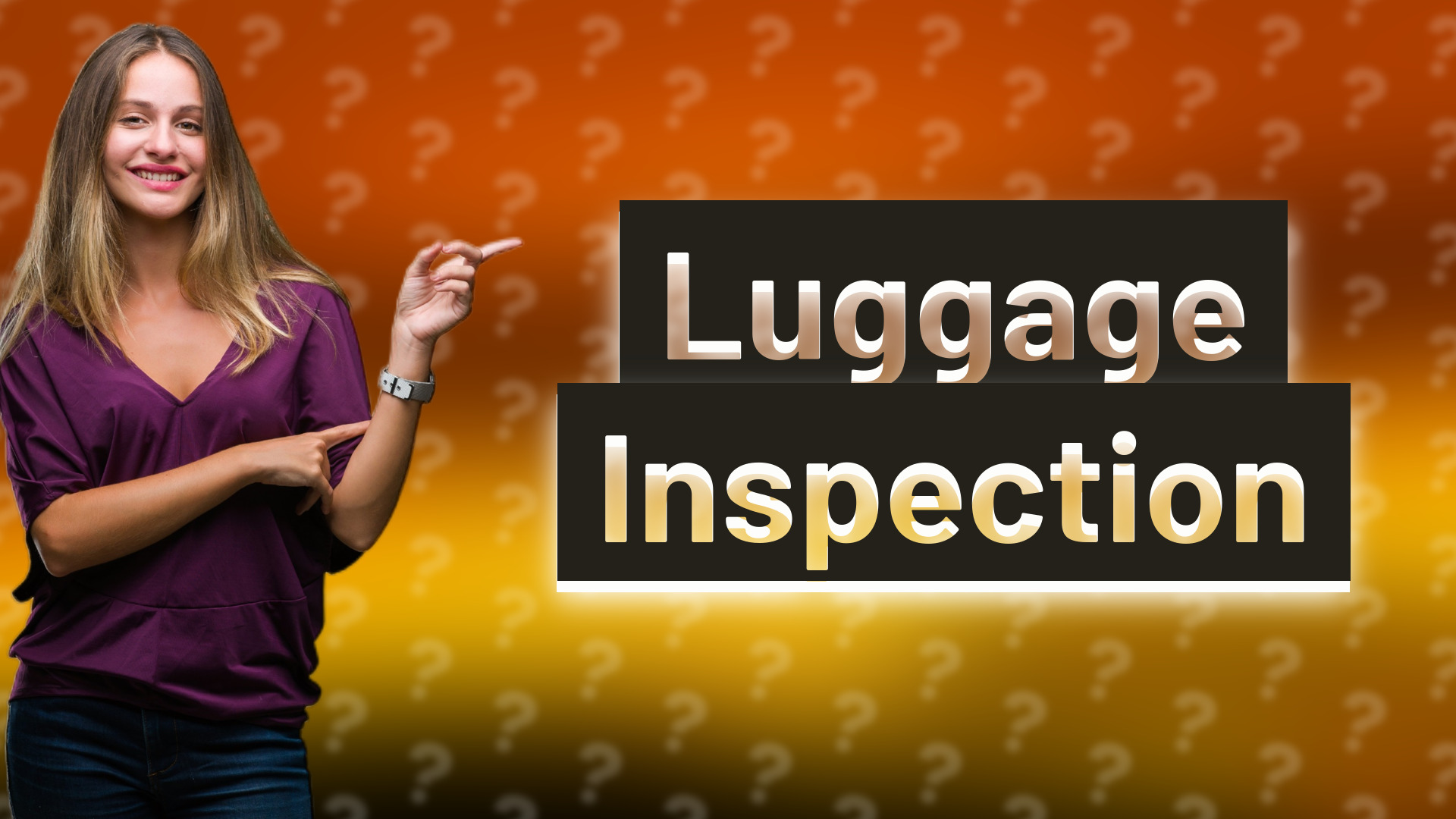 Luggage Inspection