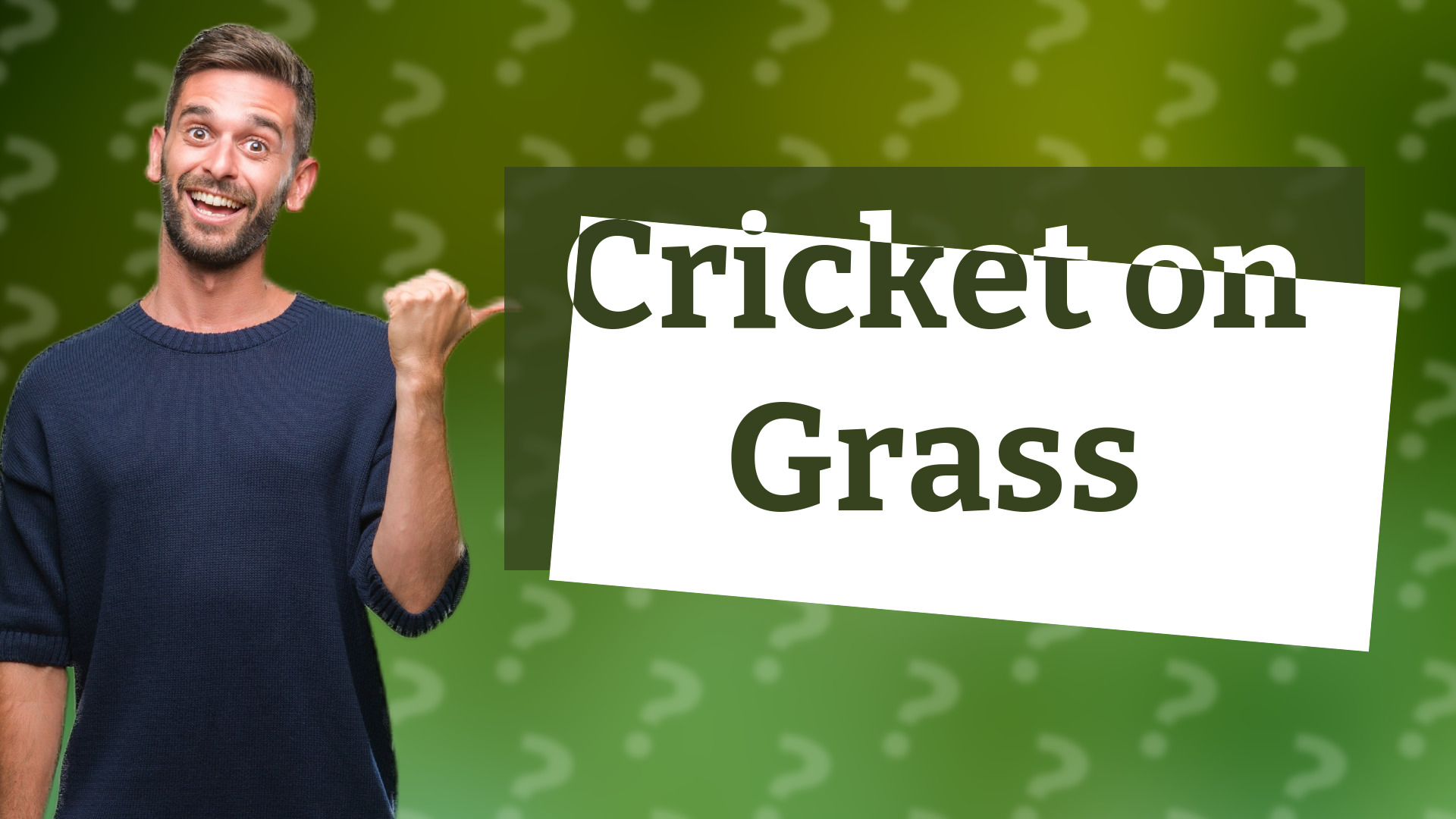 Cricket on Grass