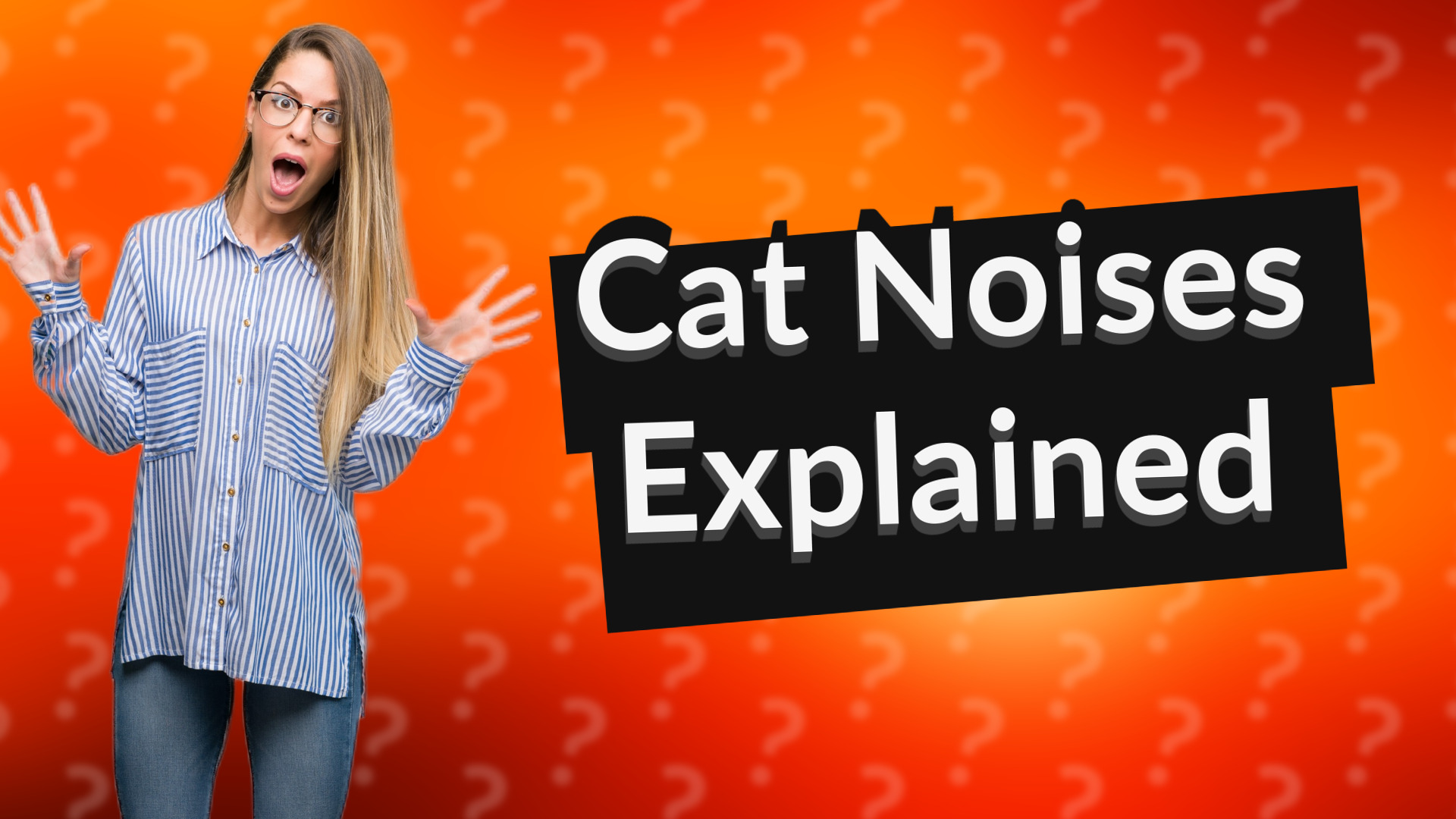Cat Noises Explained