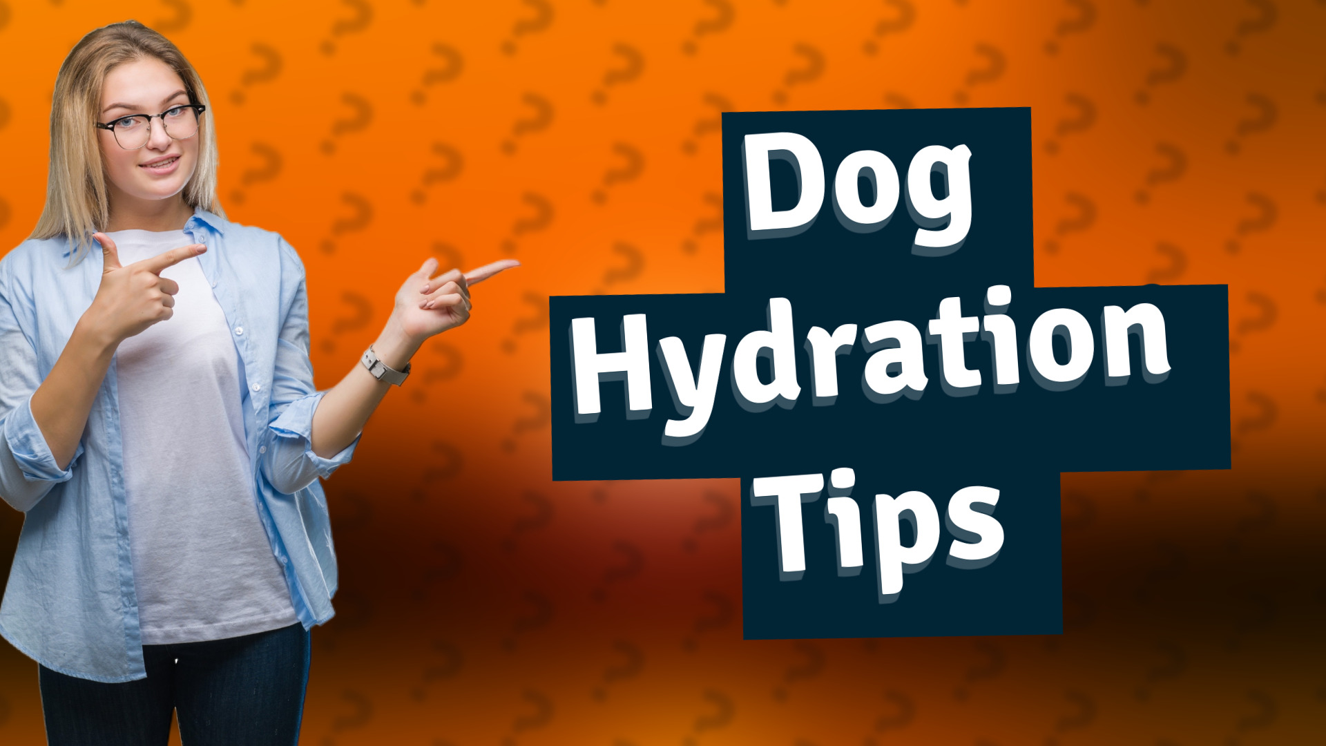 Dog Hydration Tips