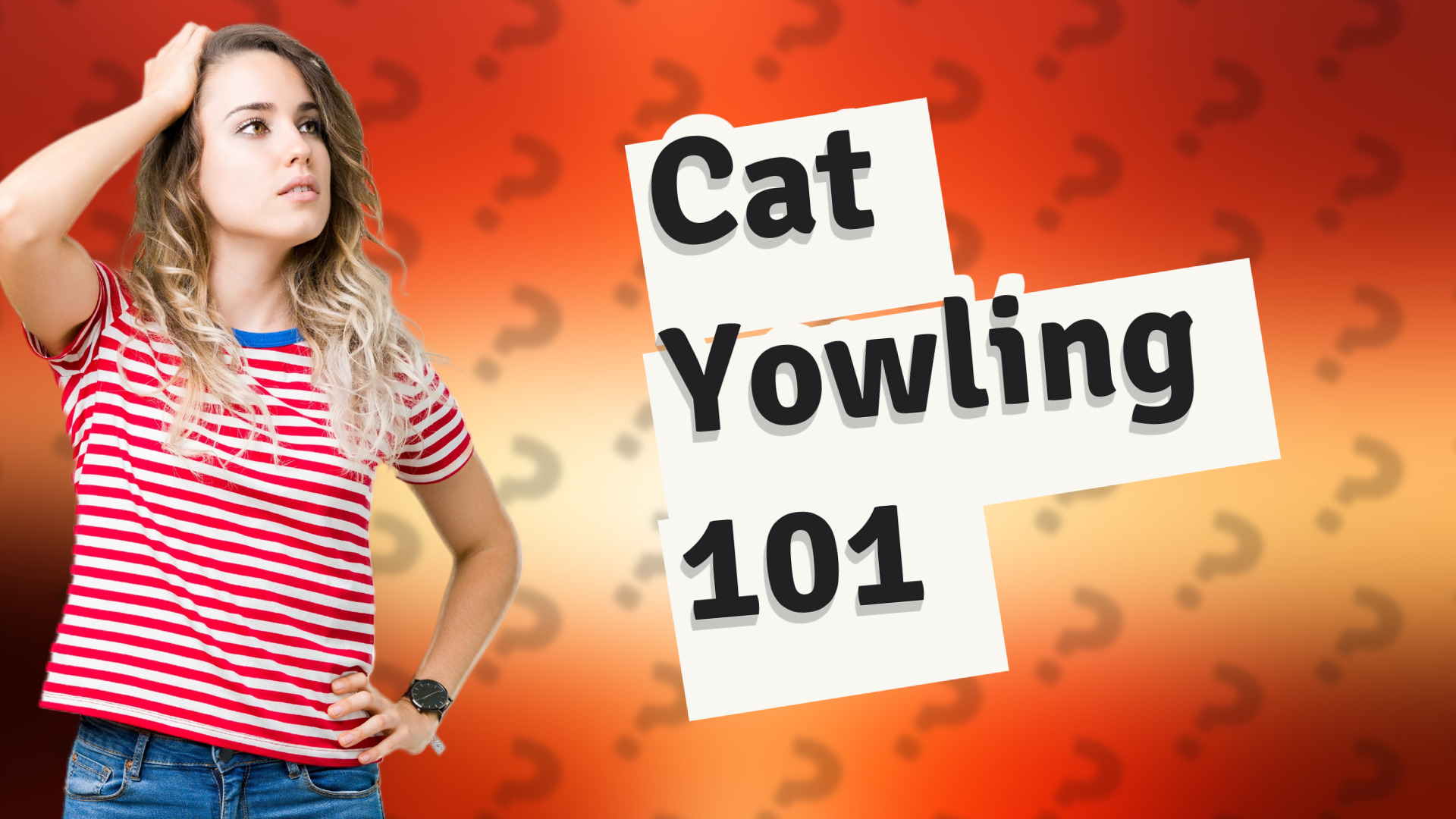 Cat Yowling 101