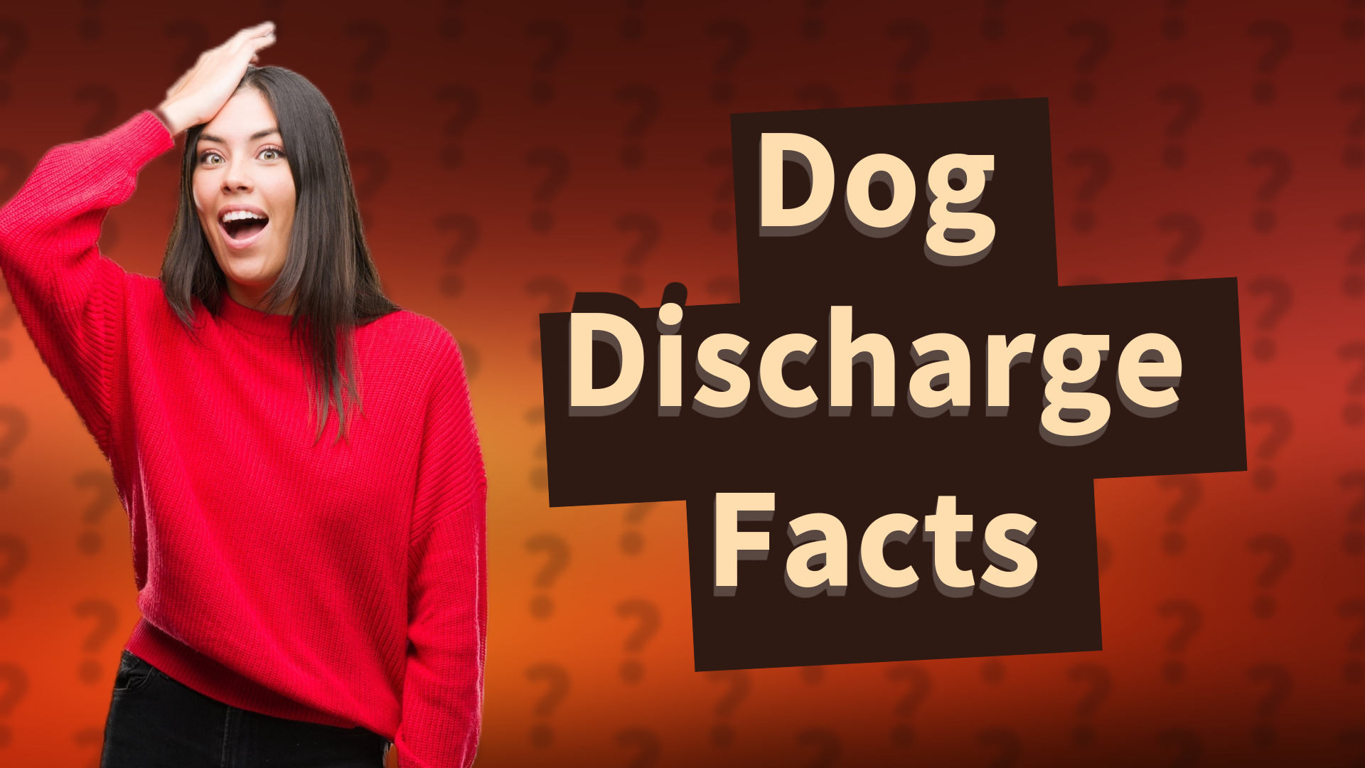 Dog Discharge Facts