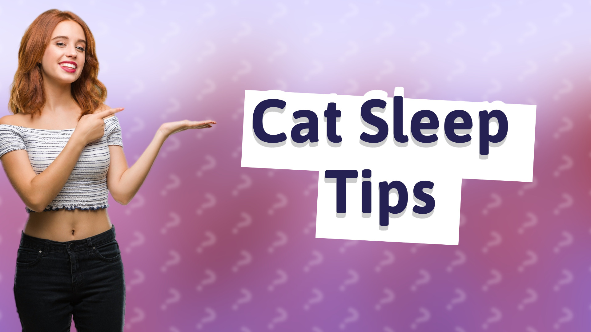 Cat Sleep Tips