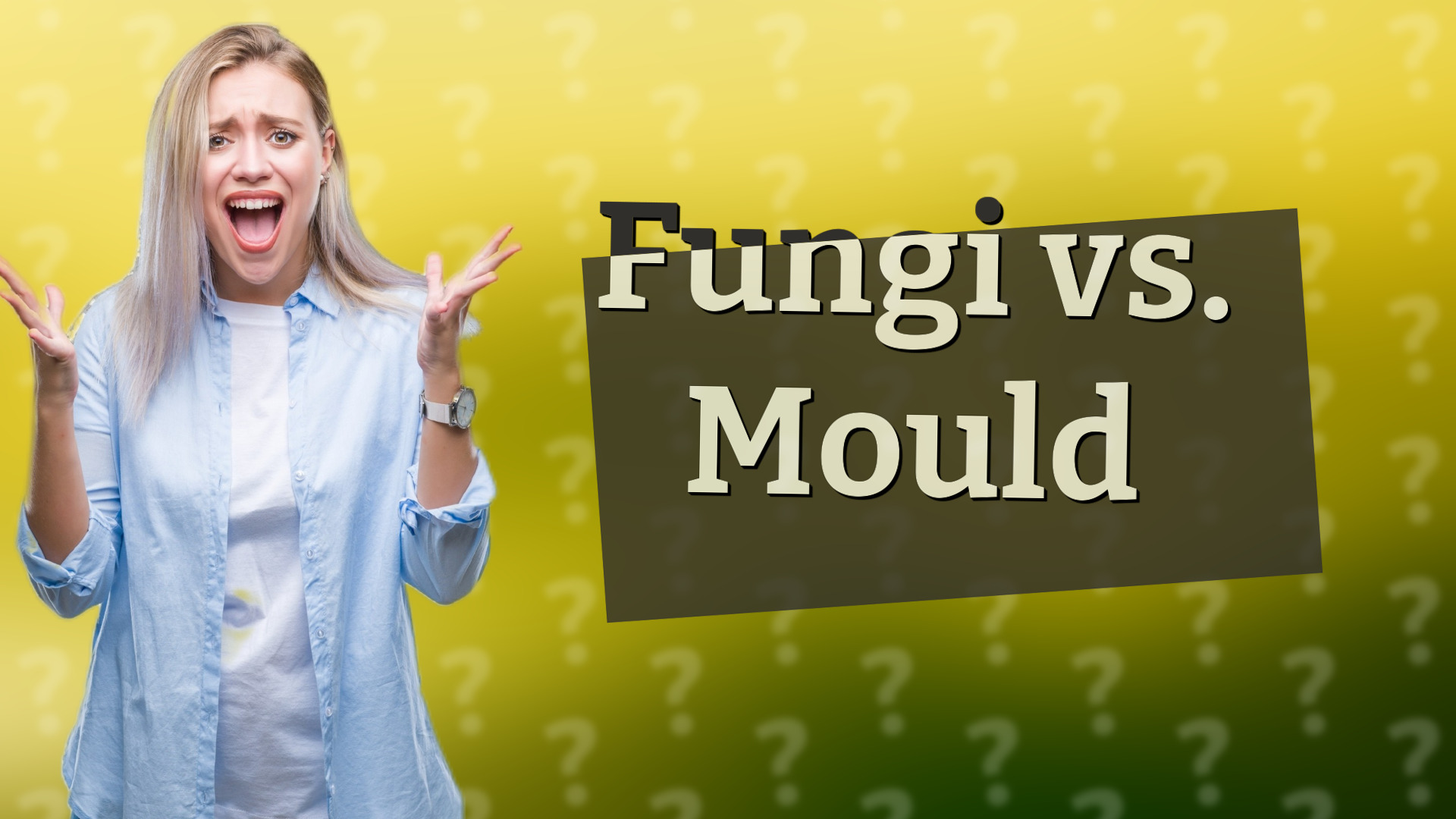 Fungi vs. Mould