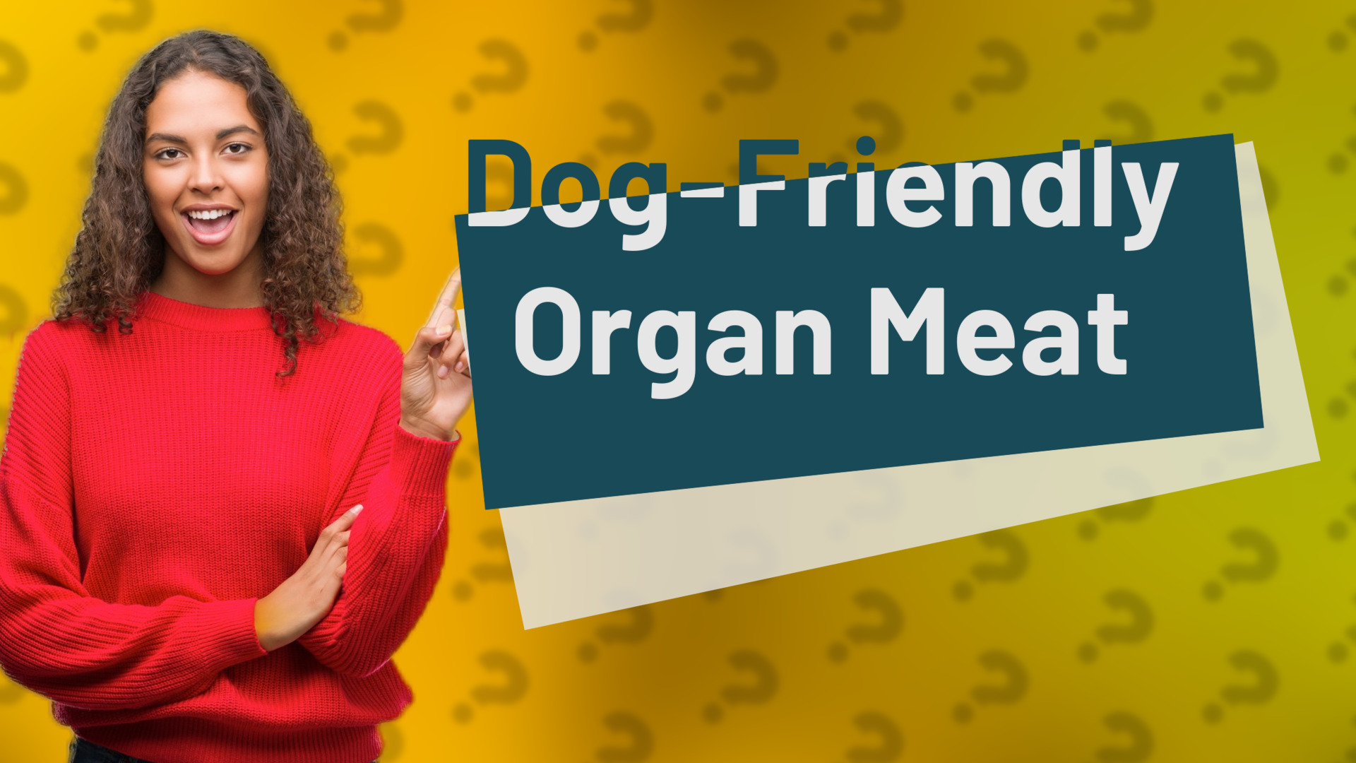 Dog-Friendly Organ Meat
