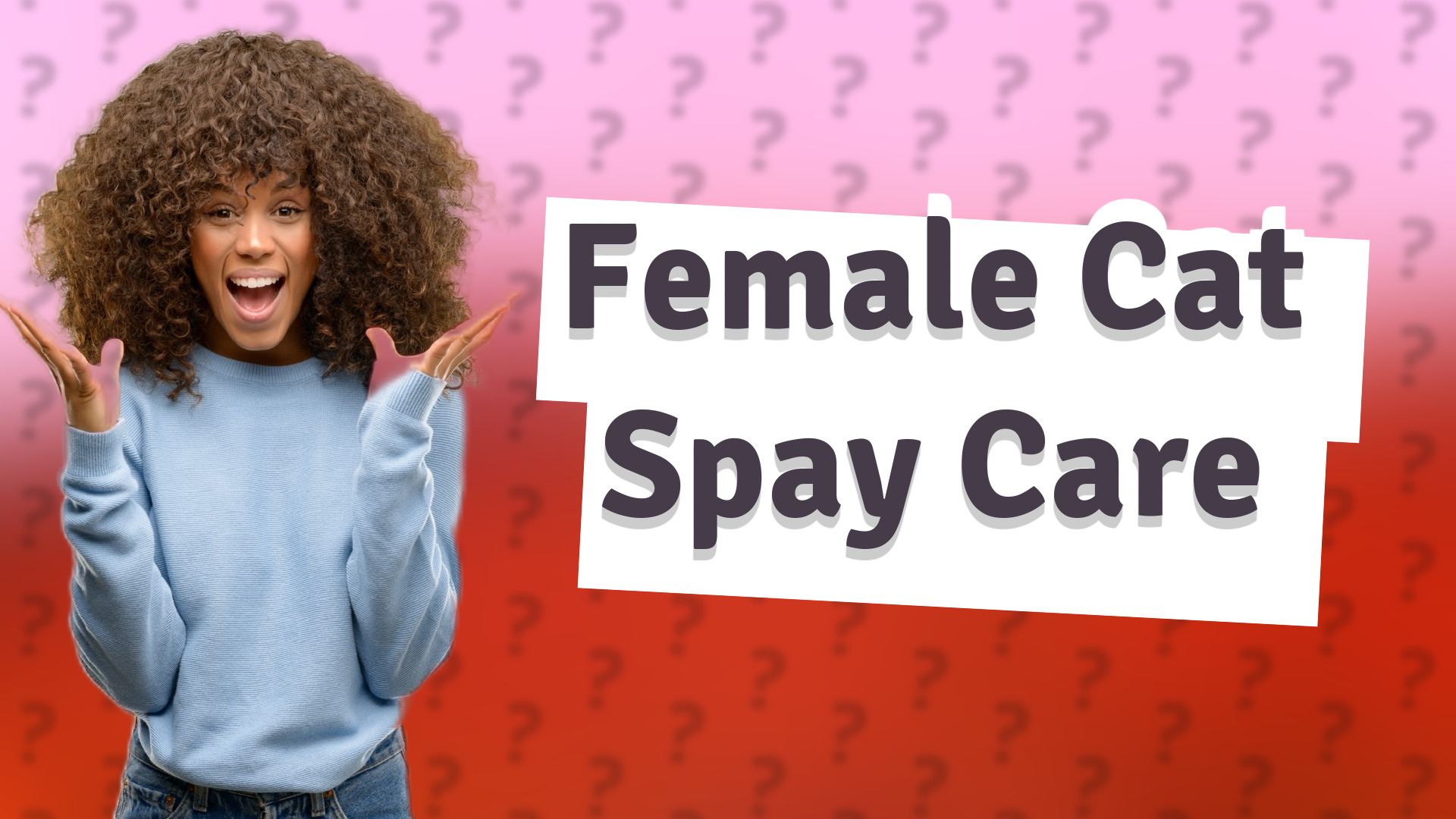 Female Cat Spay Care