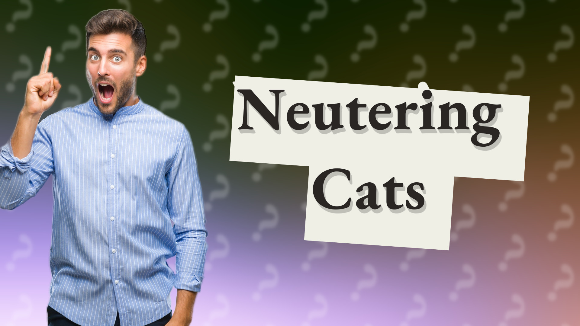 Neutering Cats