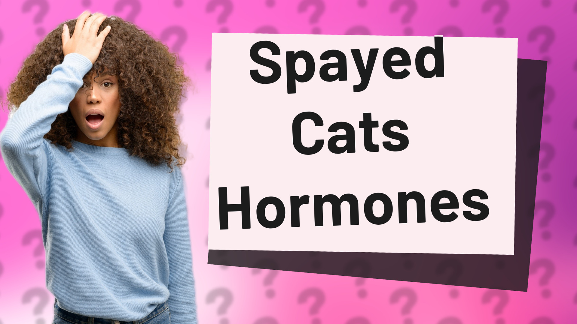 Spayed Cats Hormones