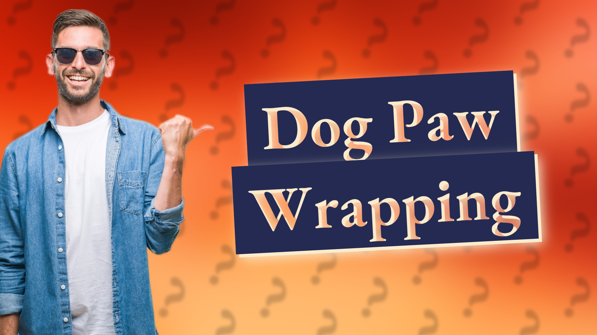 Dog Paw Wrapping