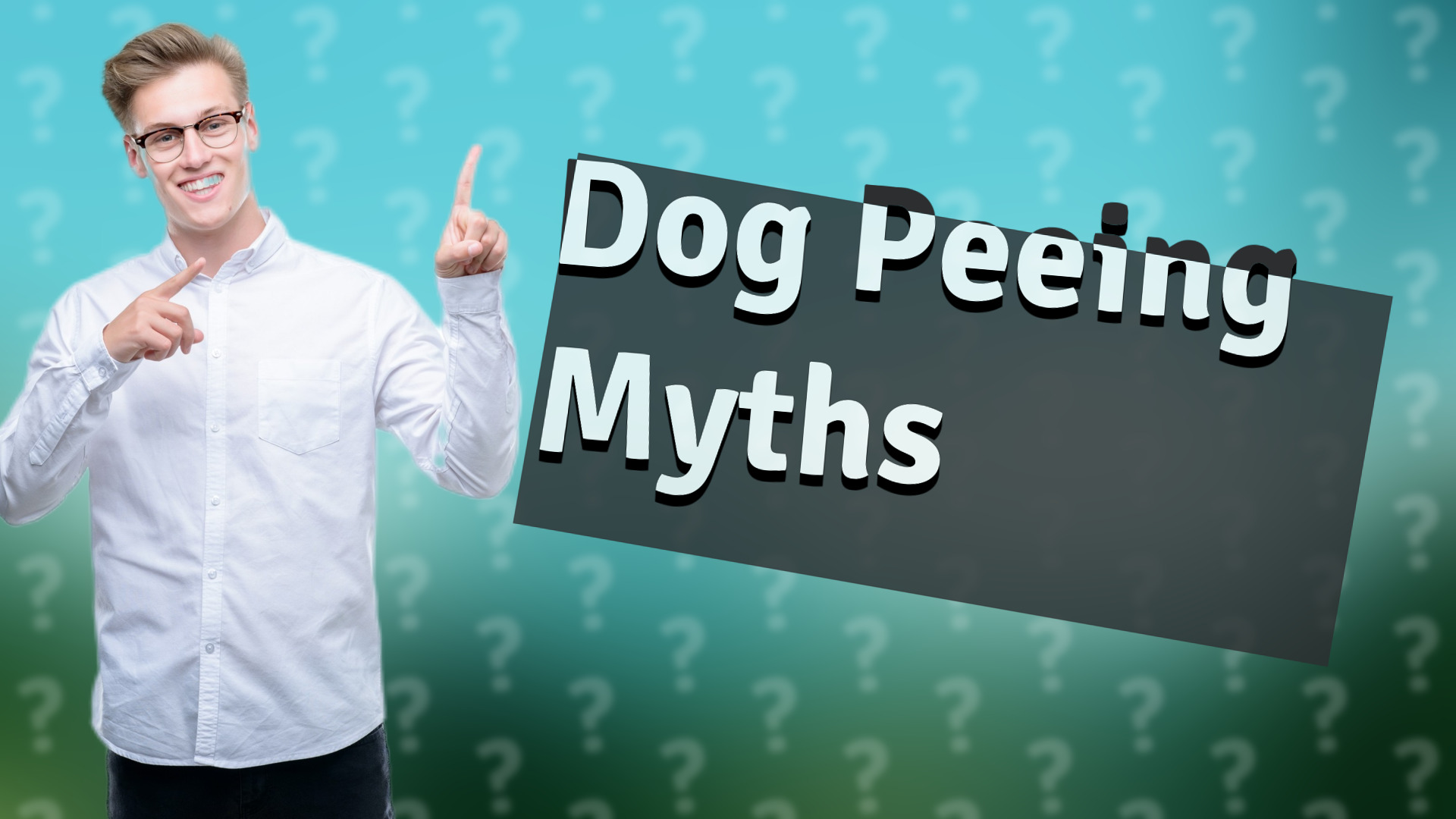 Dog Peeing Myths