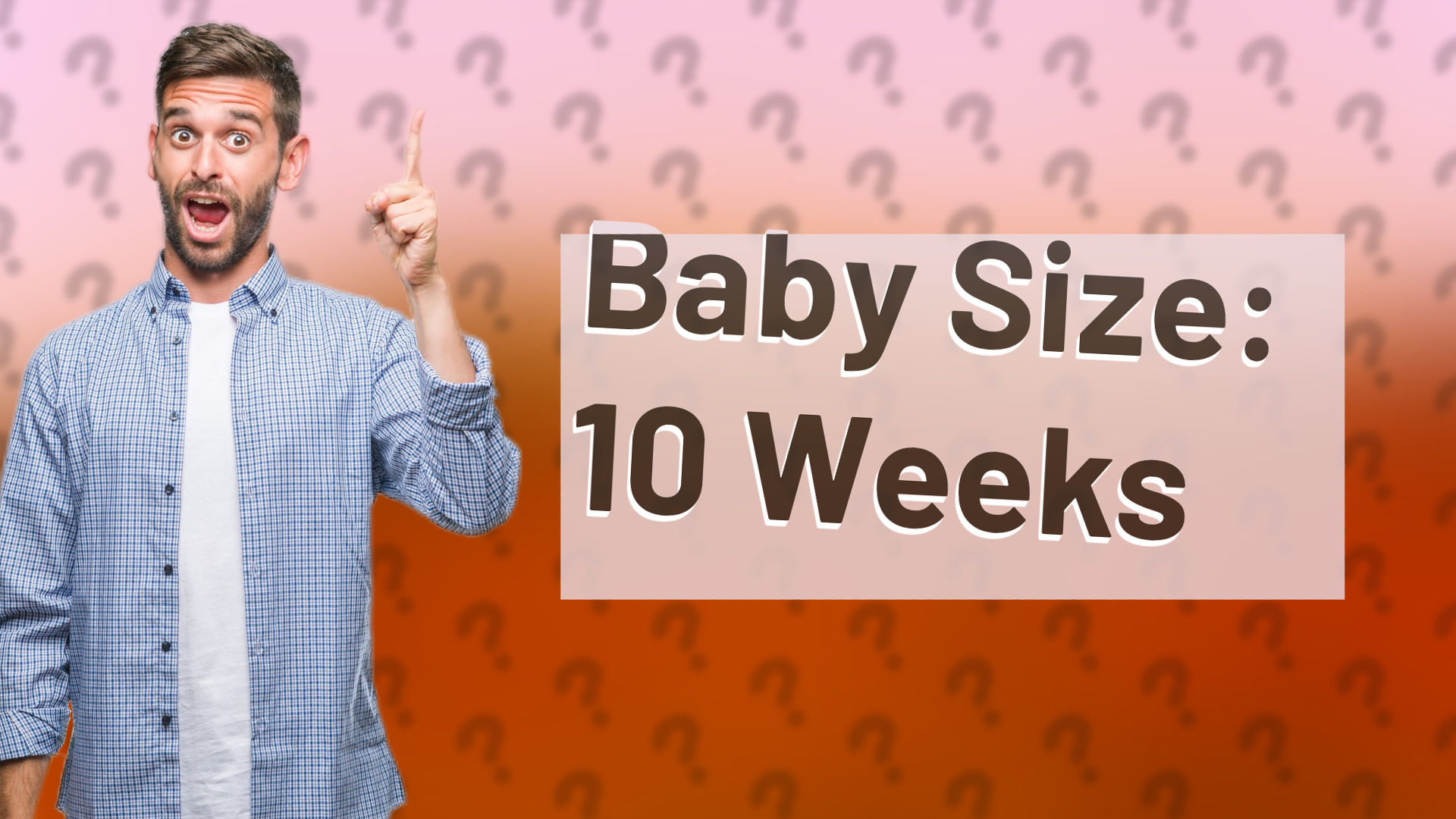 Baby Size: 10 Weeks