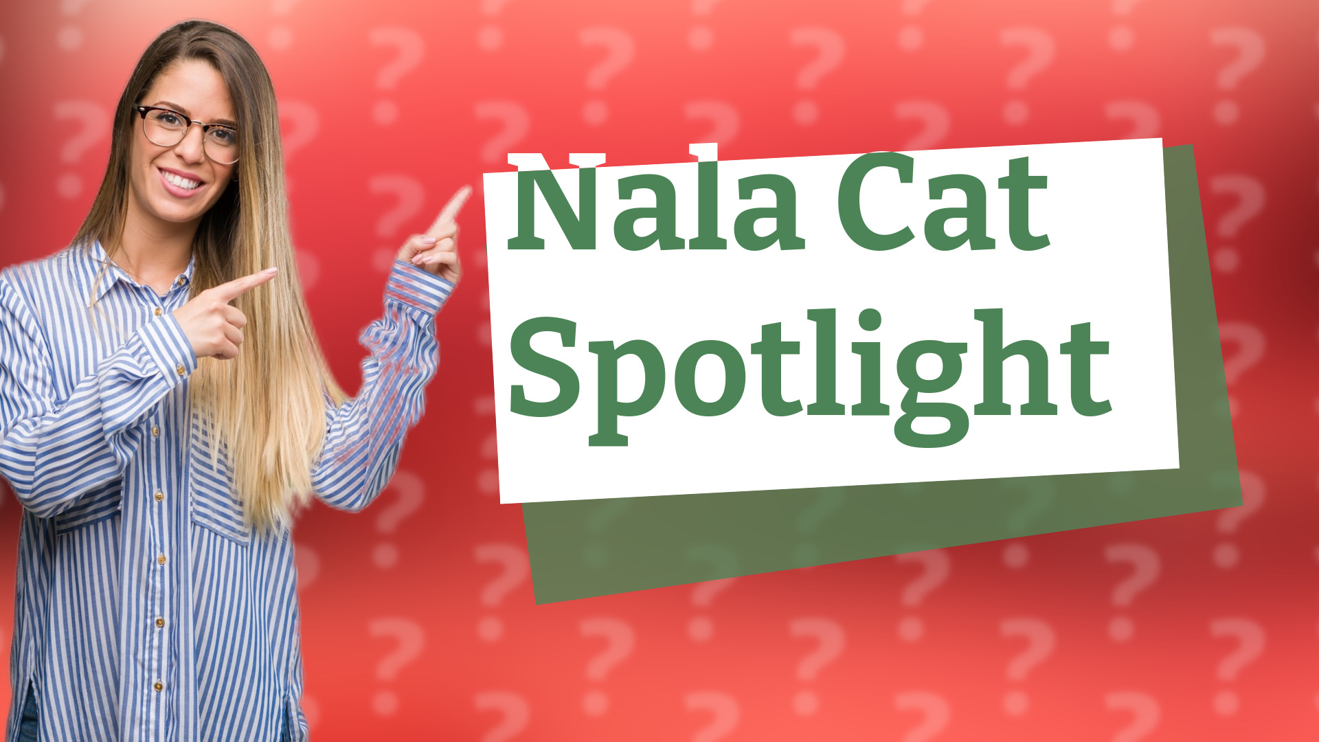 Nala Cat Spotlight
