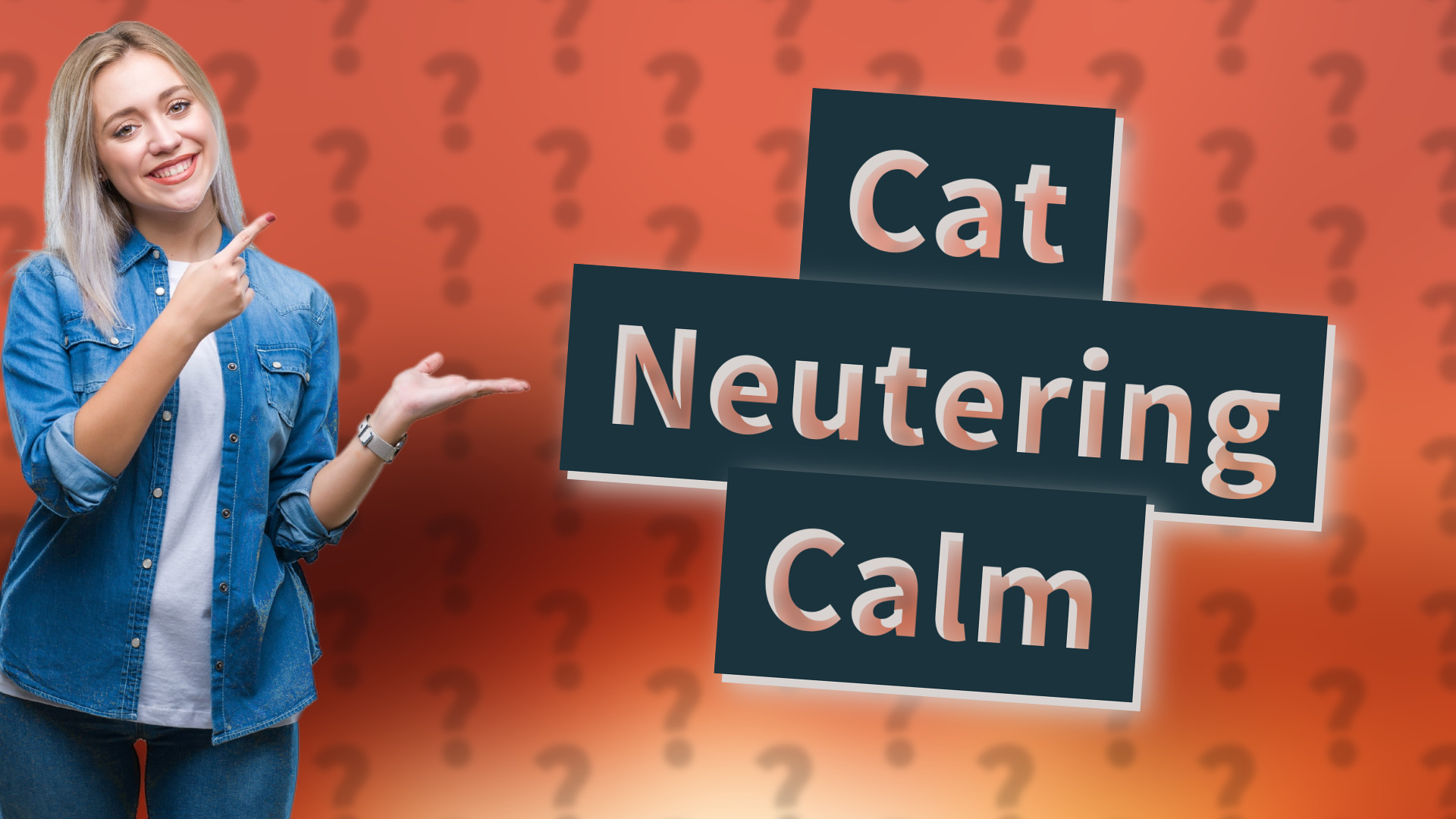 Cat Neutering Calm