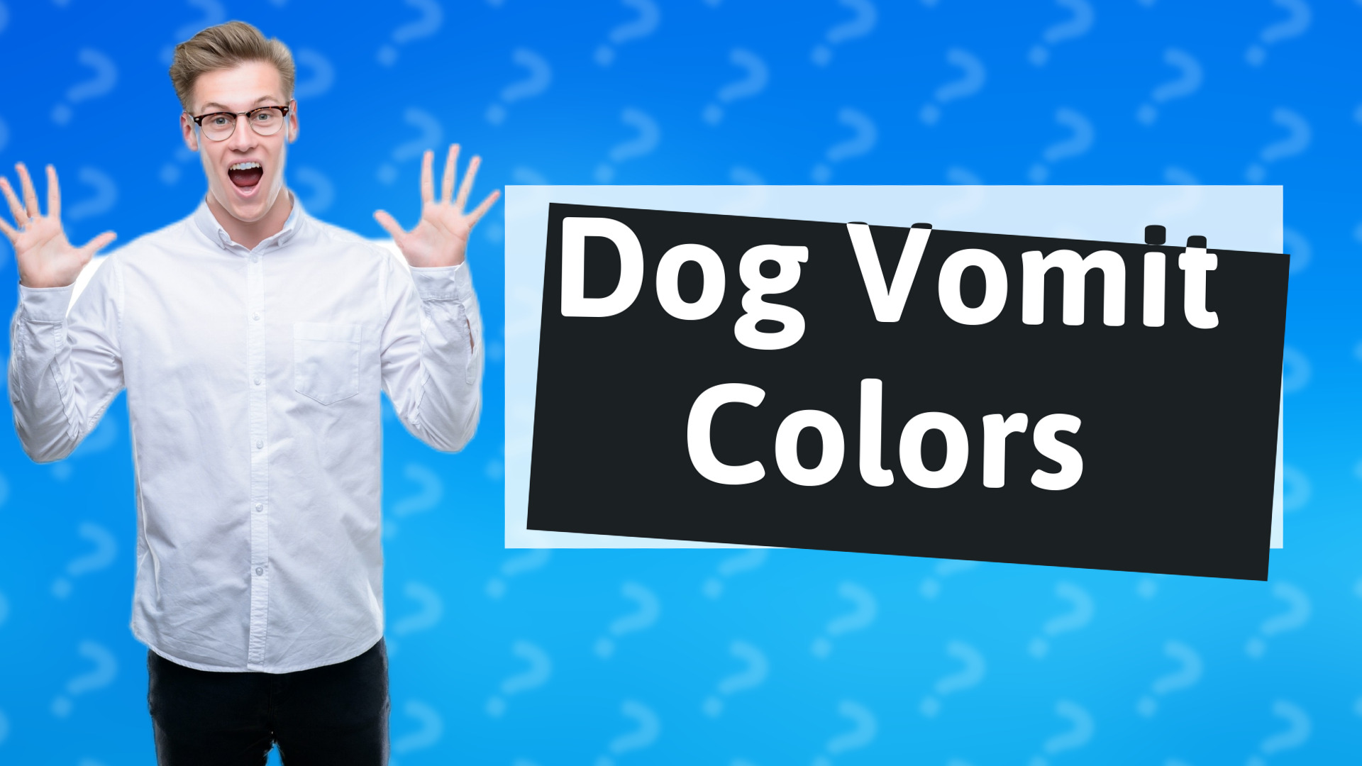 Dog Vomit Colors