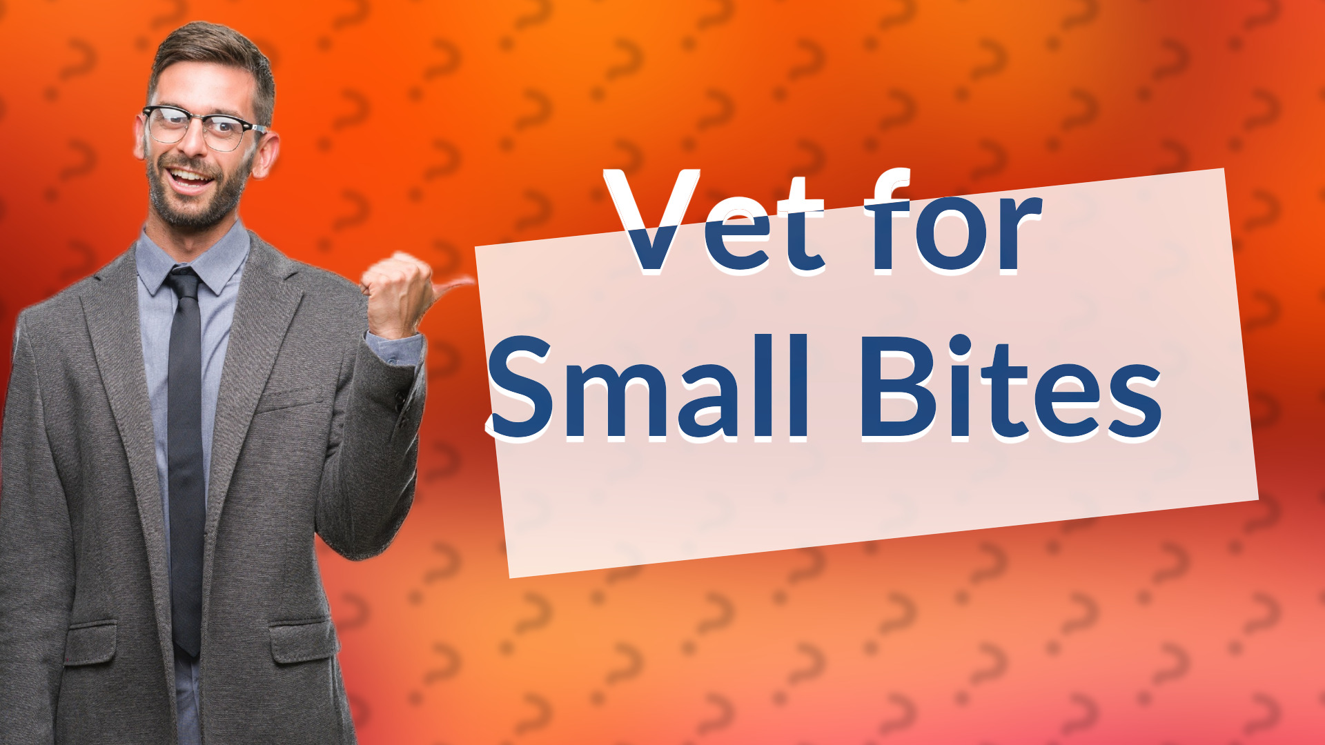Vet for Small Bites