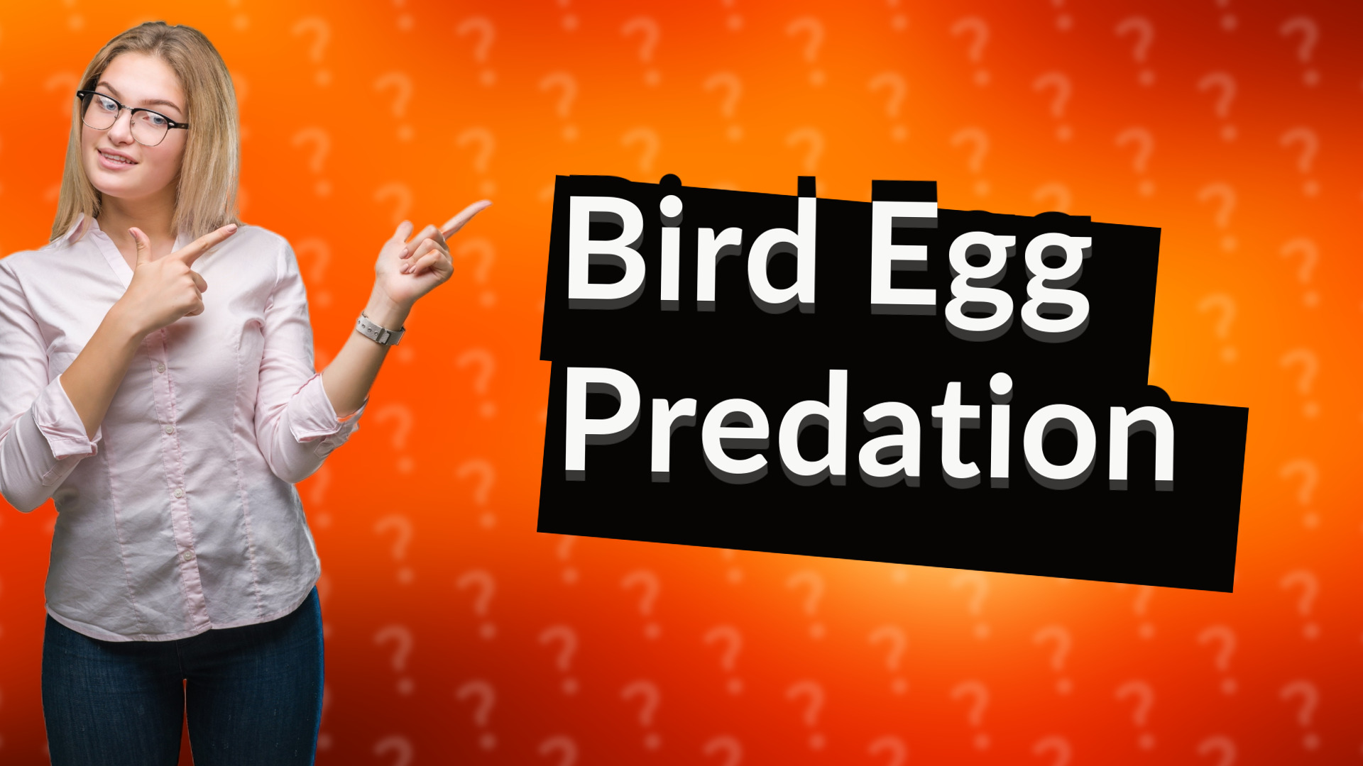 Bird Egg Predation