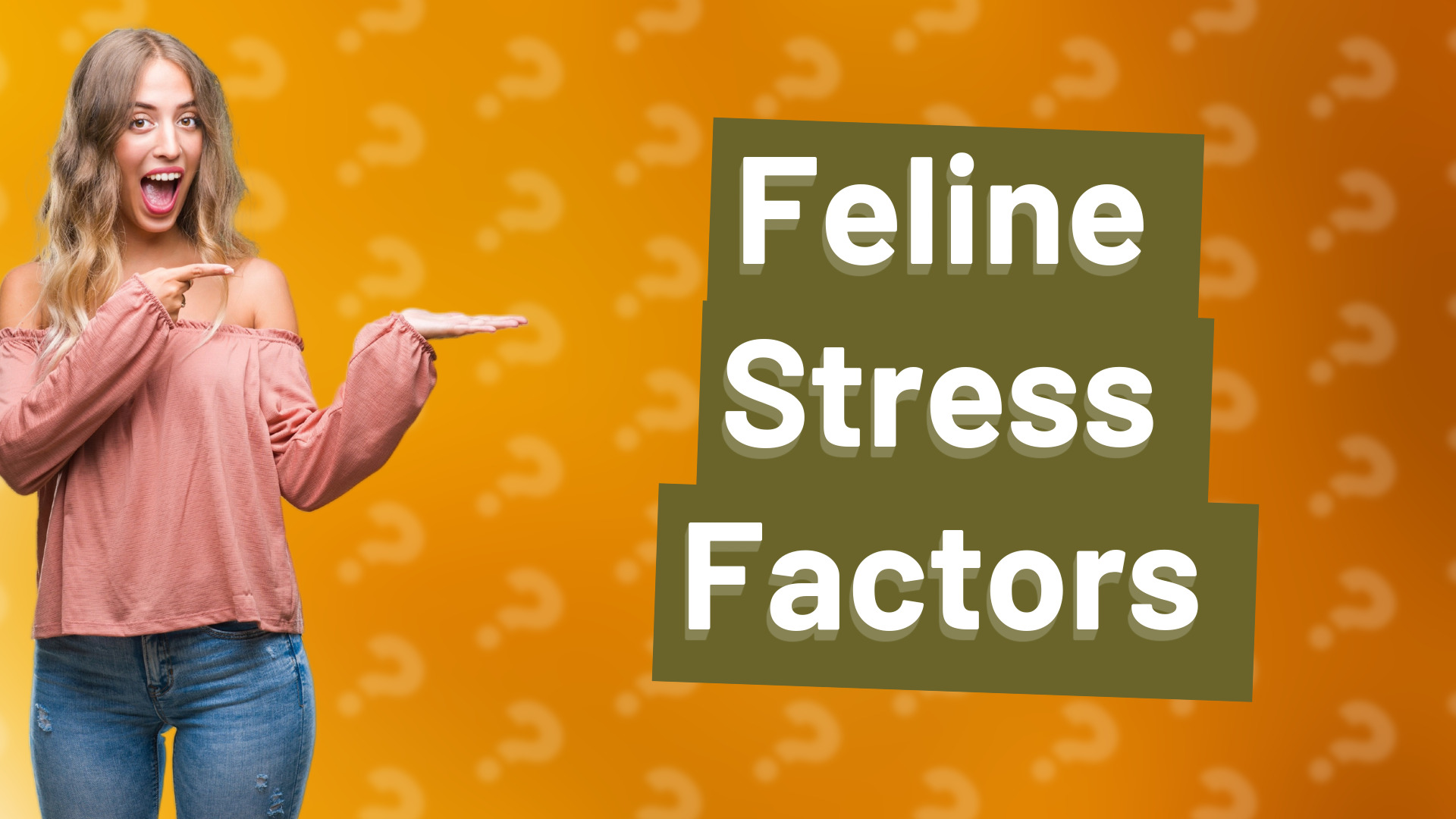 Feline Stress Factors