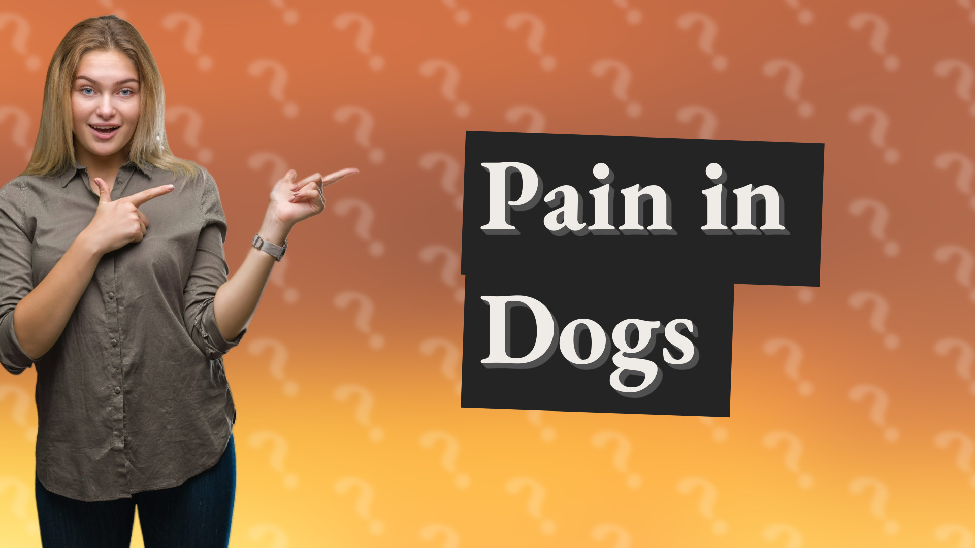 Pain in Dogs