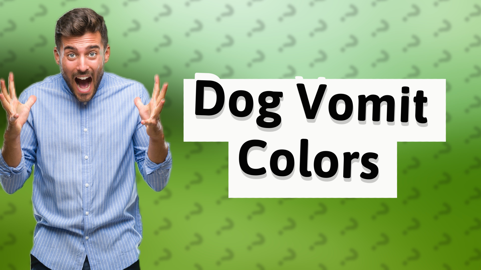 Dog Vomit Colors