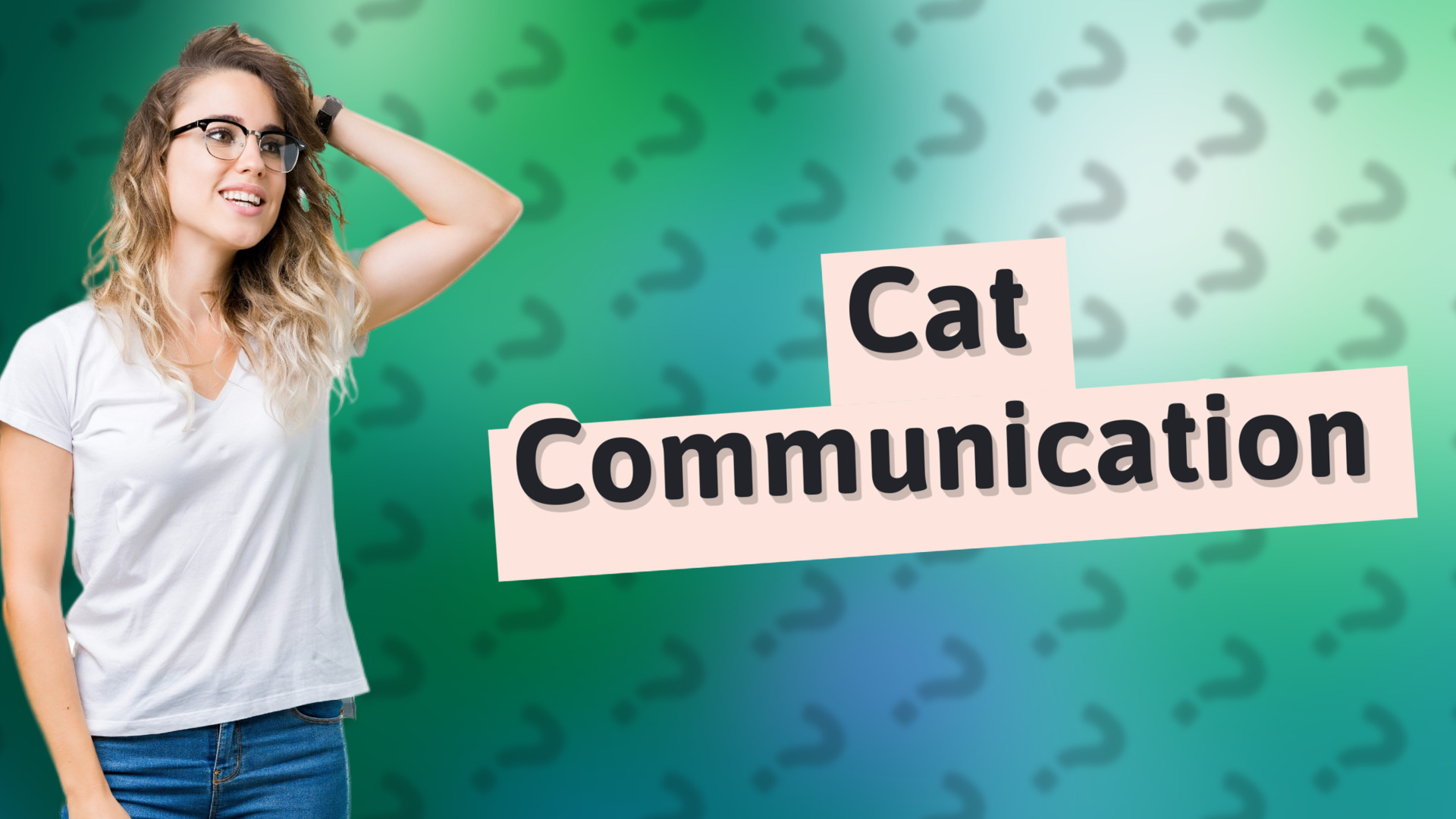 Cat Communication