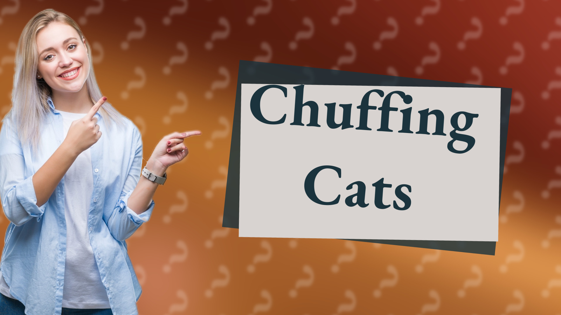 Chuffing Cats