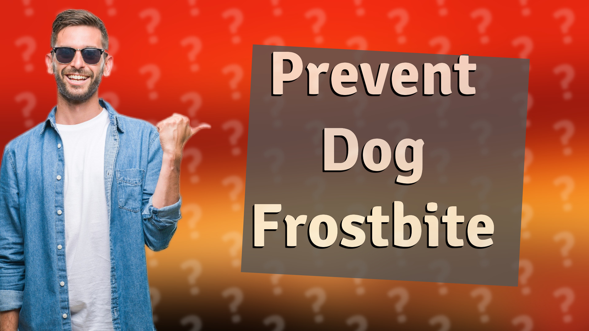 Prevent Dog Frostbite