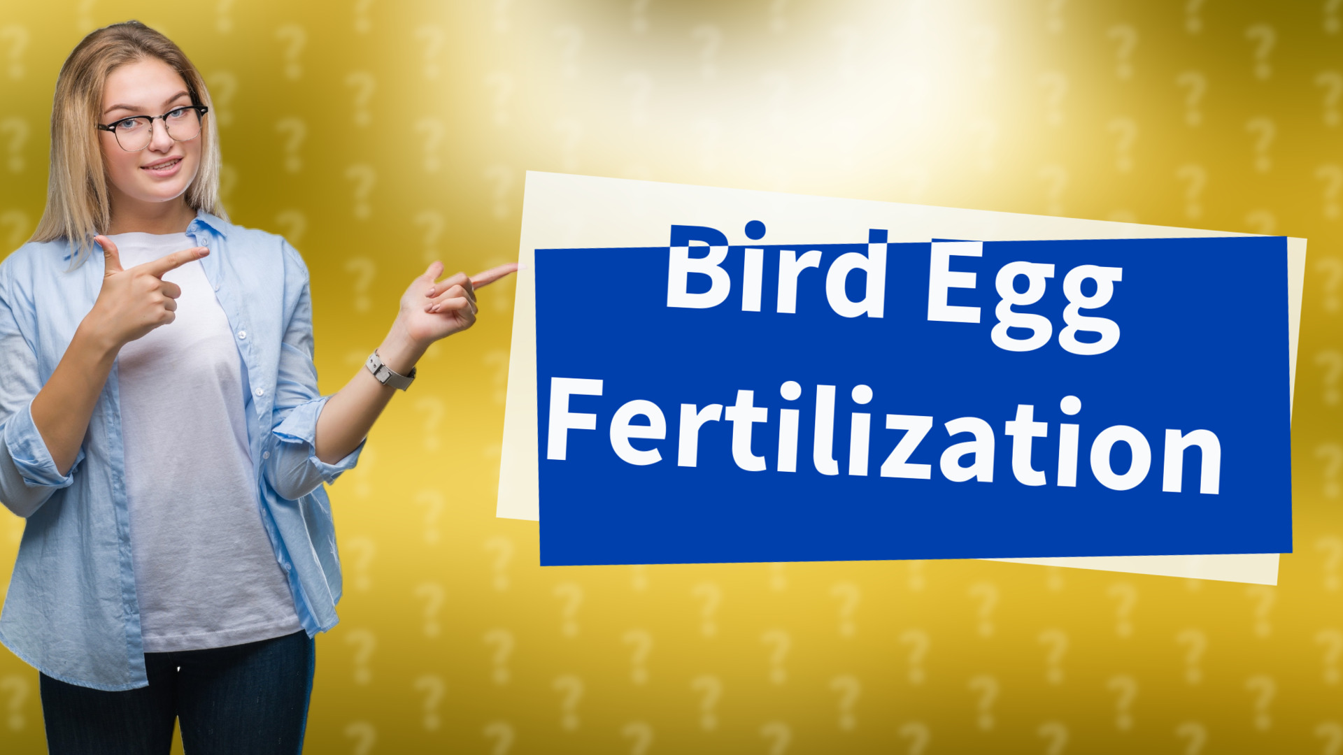 Bird Egg Fertilization