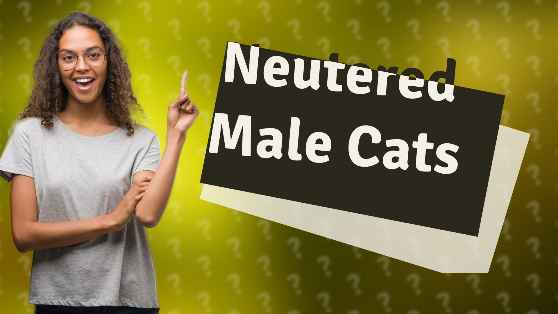 Neutered Male Cats