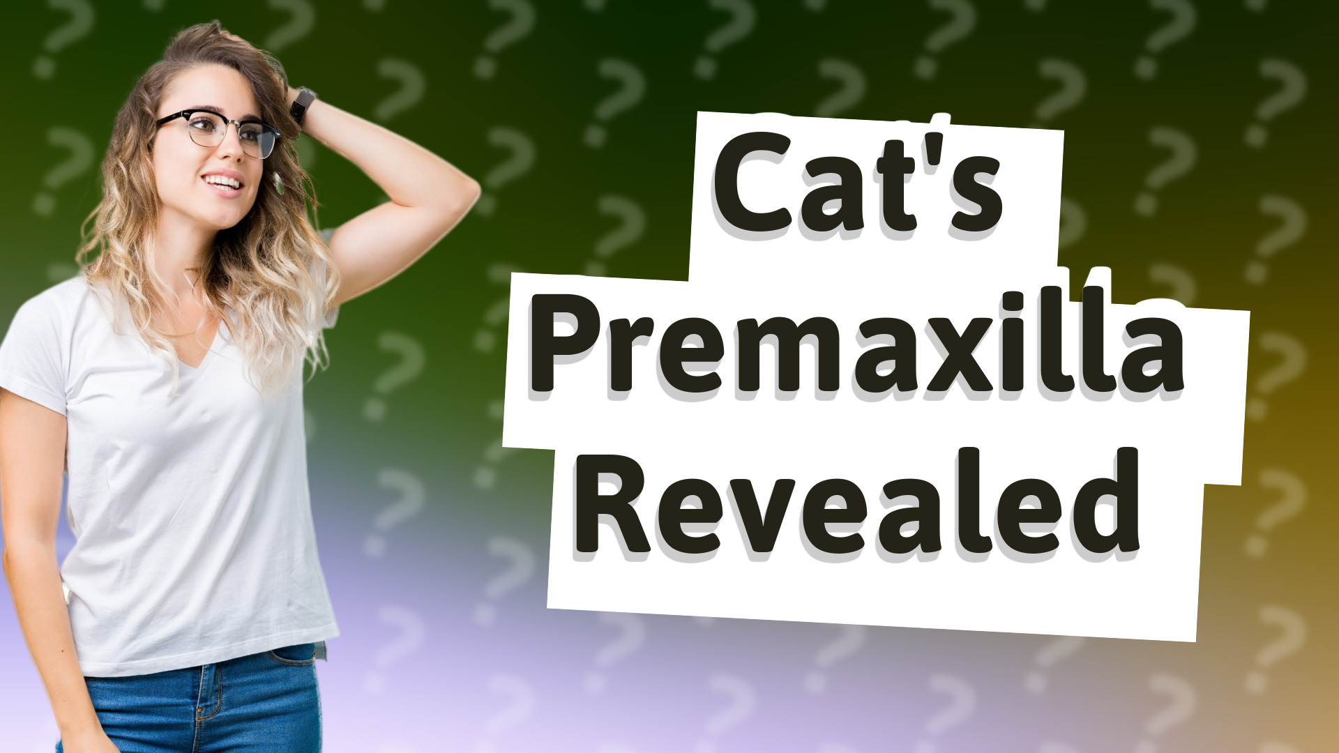 Cat's Premaxilla Revealed