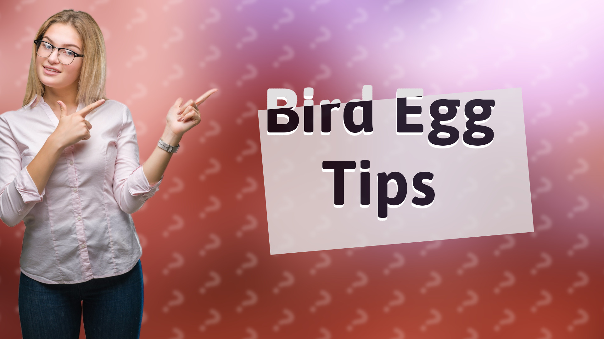 Bird Egg Tips