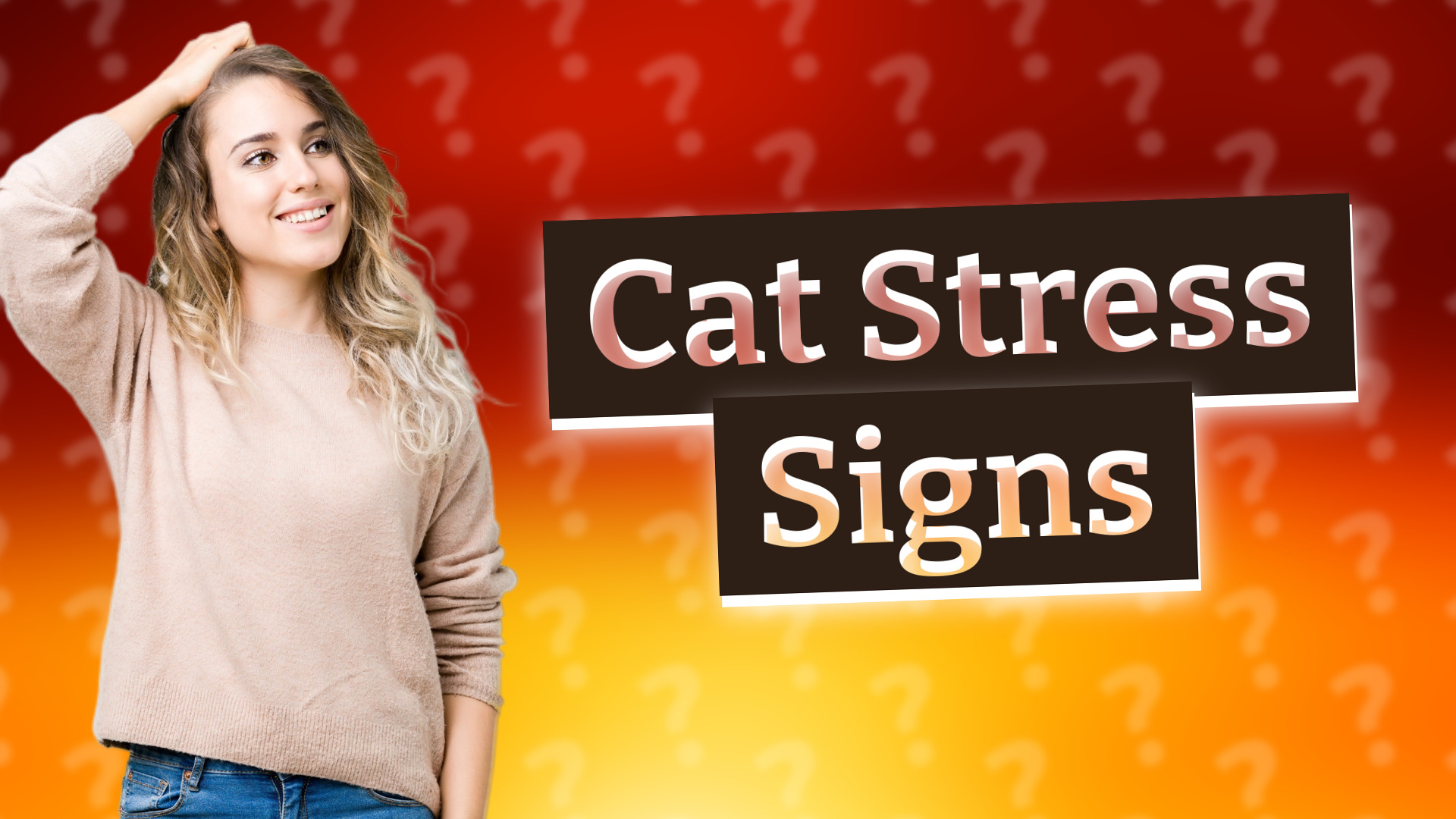 Cat Stress Signs