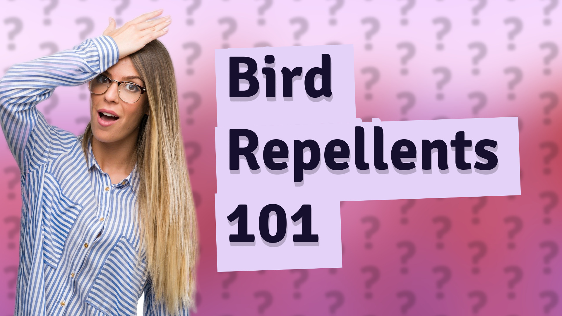 Bird Repellents 101
