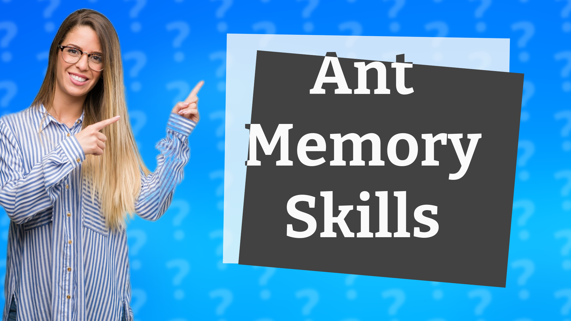 Ant Memory Skills