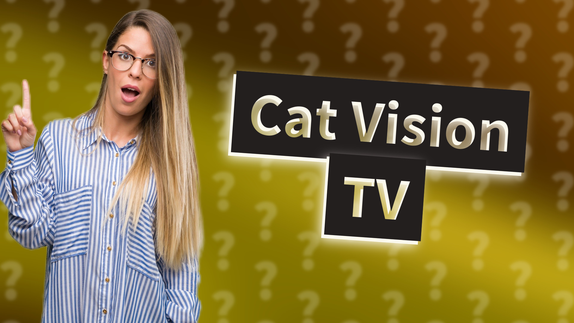 Cat Vision TV