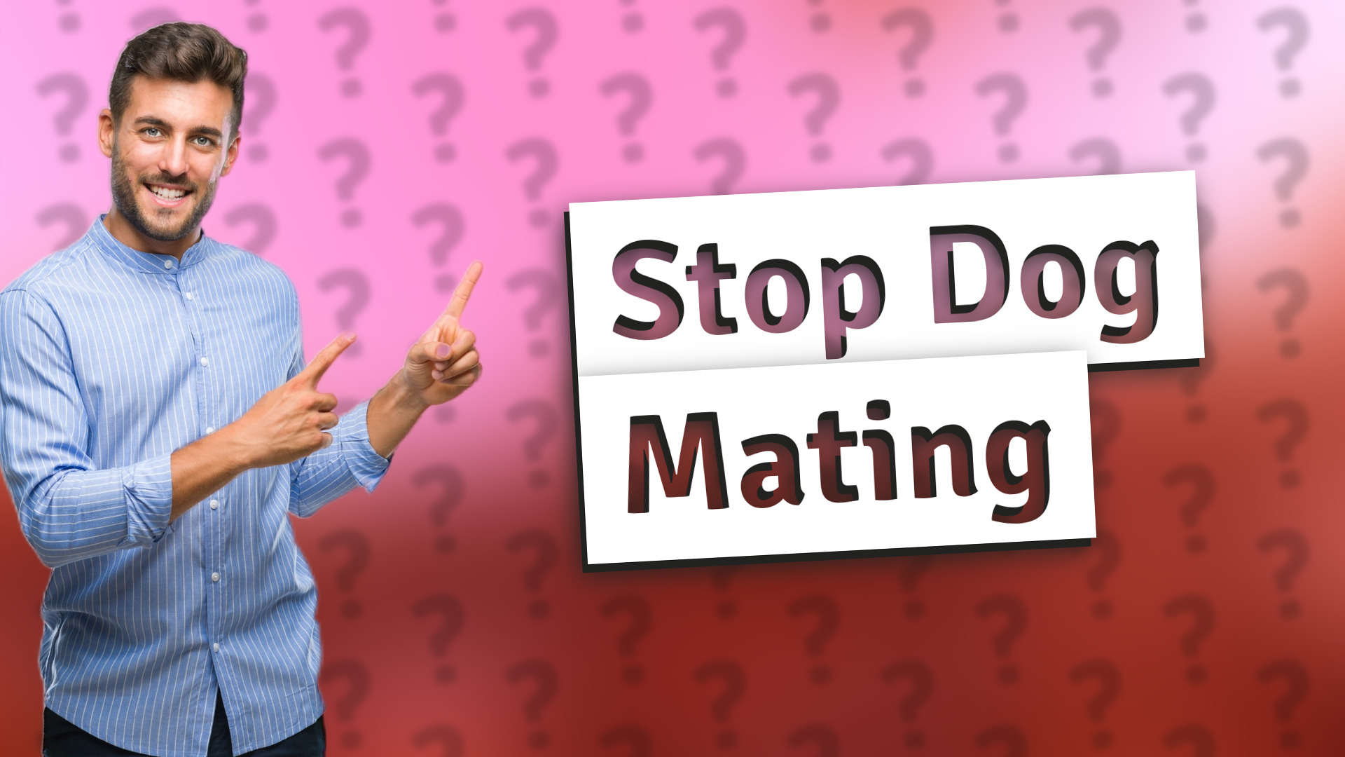 Stop Dog Mating