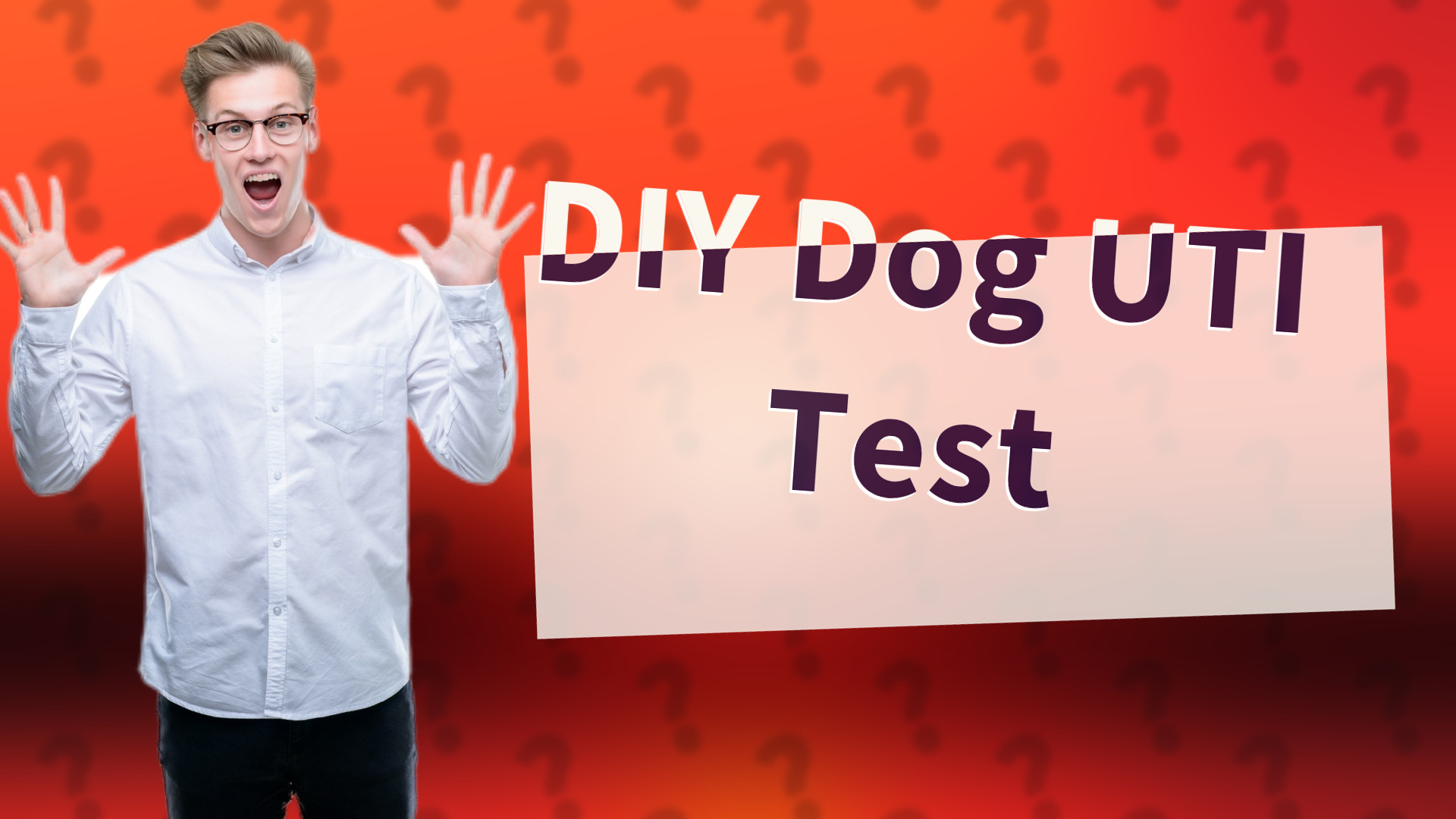 DIY Dog UTI Test