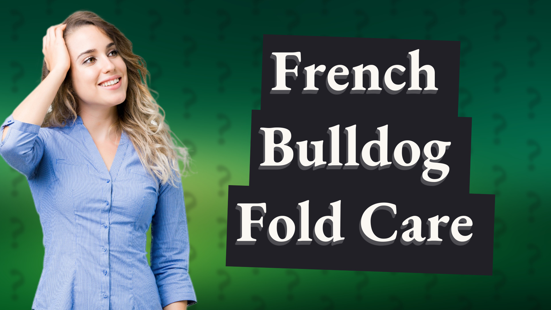 French Bulldog Fold Care