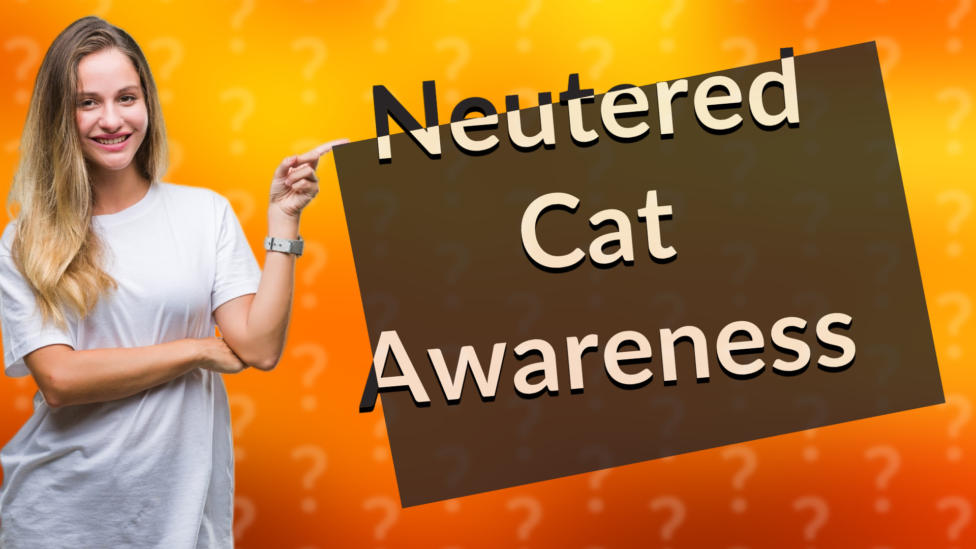 Neutered Cat Awareness