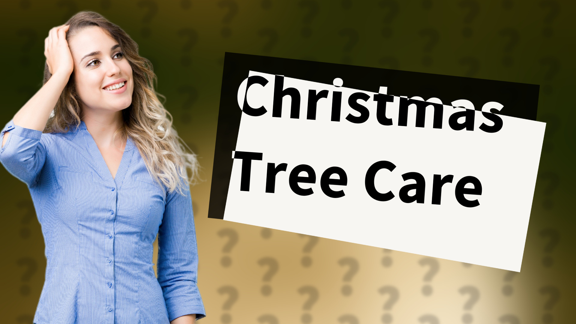 Christmas Tree Care