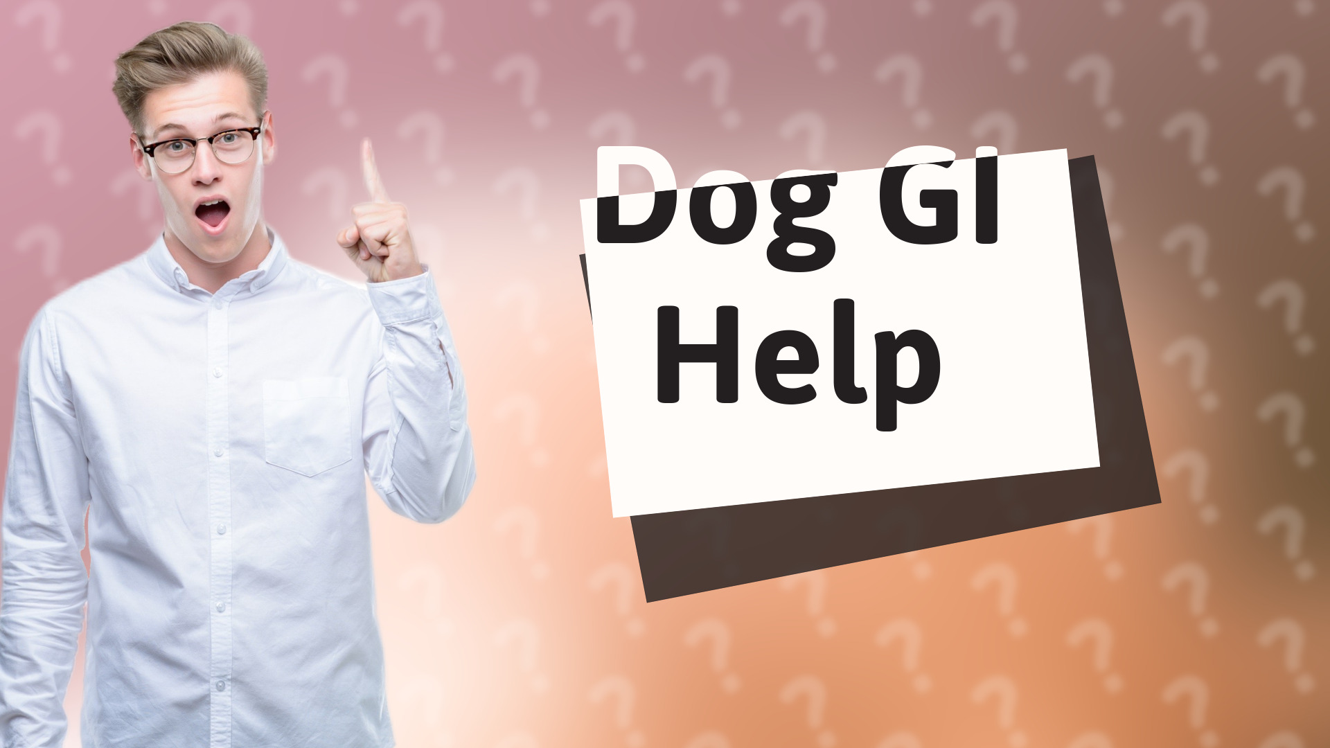 Dog GI Help